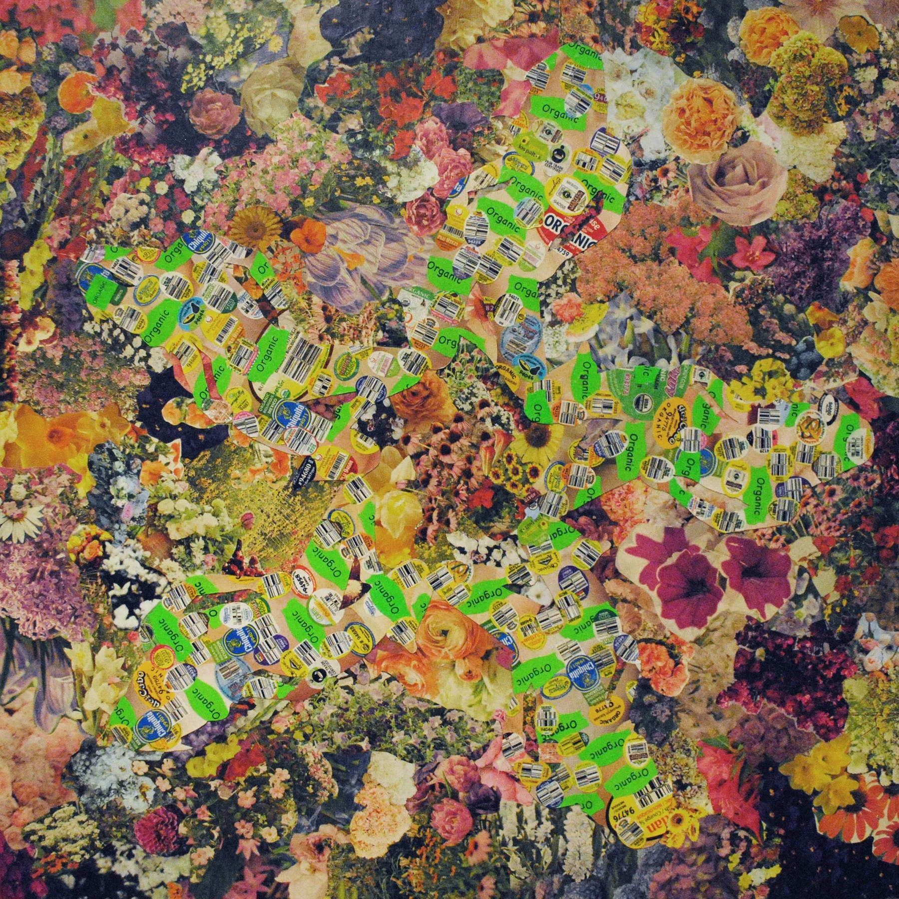   PLU   2015  Mixed Media on Panel  24 x 24" 