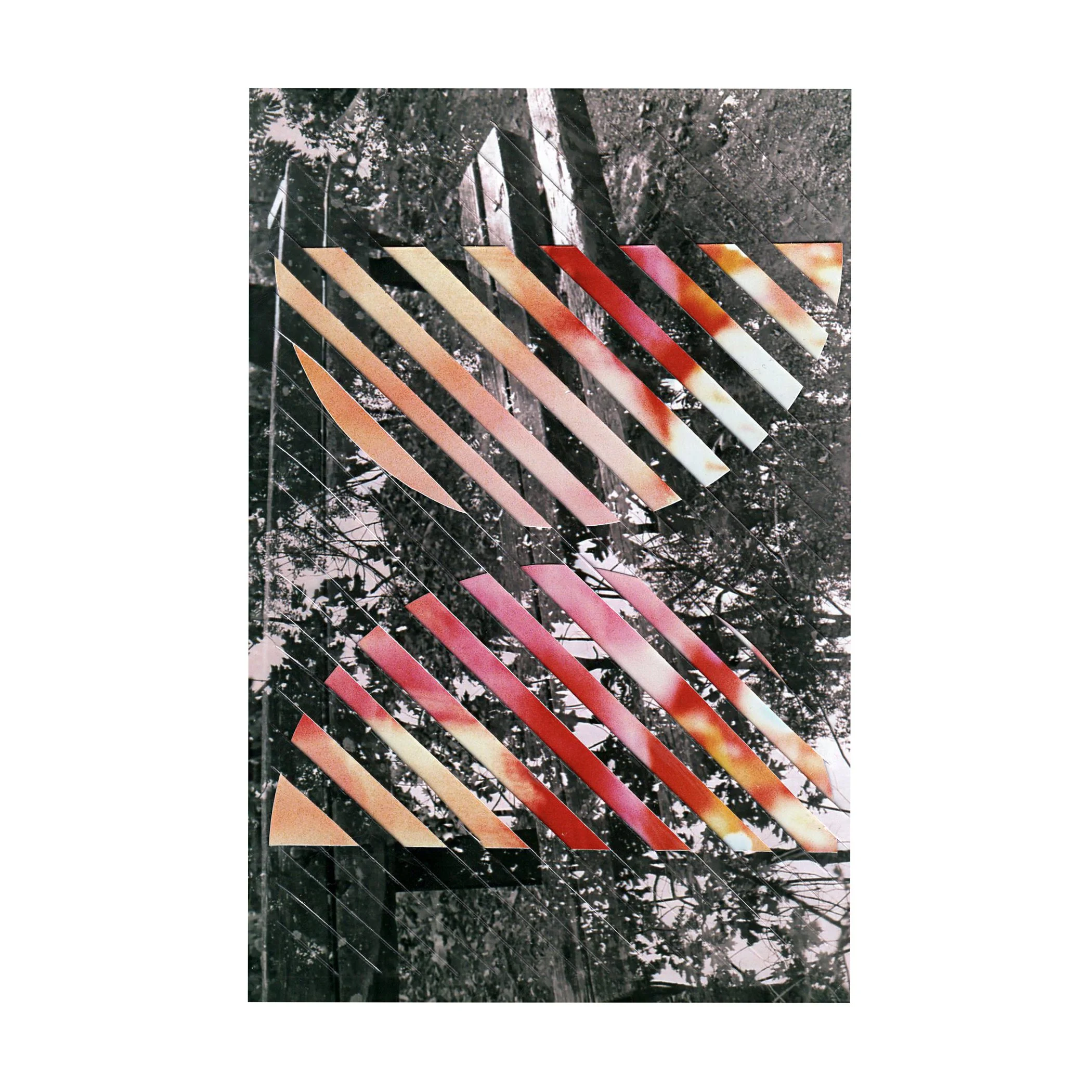   Photo Collage 11   2023  Woven photographs mounted on paper  8 × 8” 
