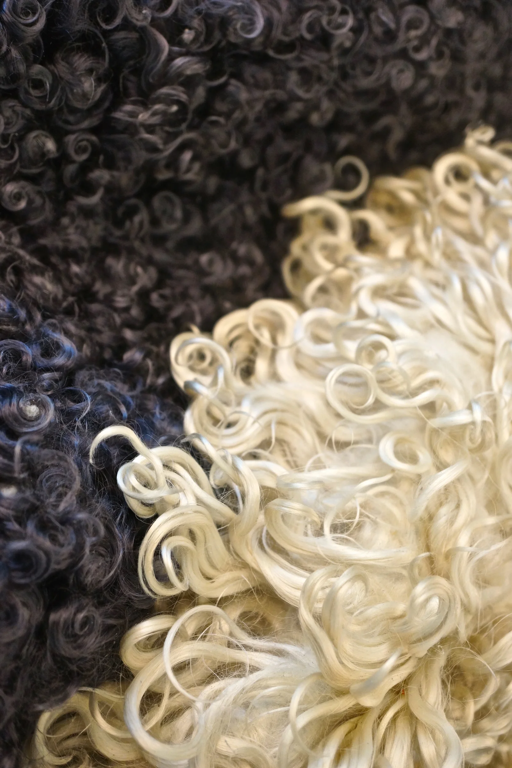 Mongolian Goat in ivory and soot