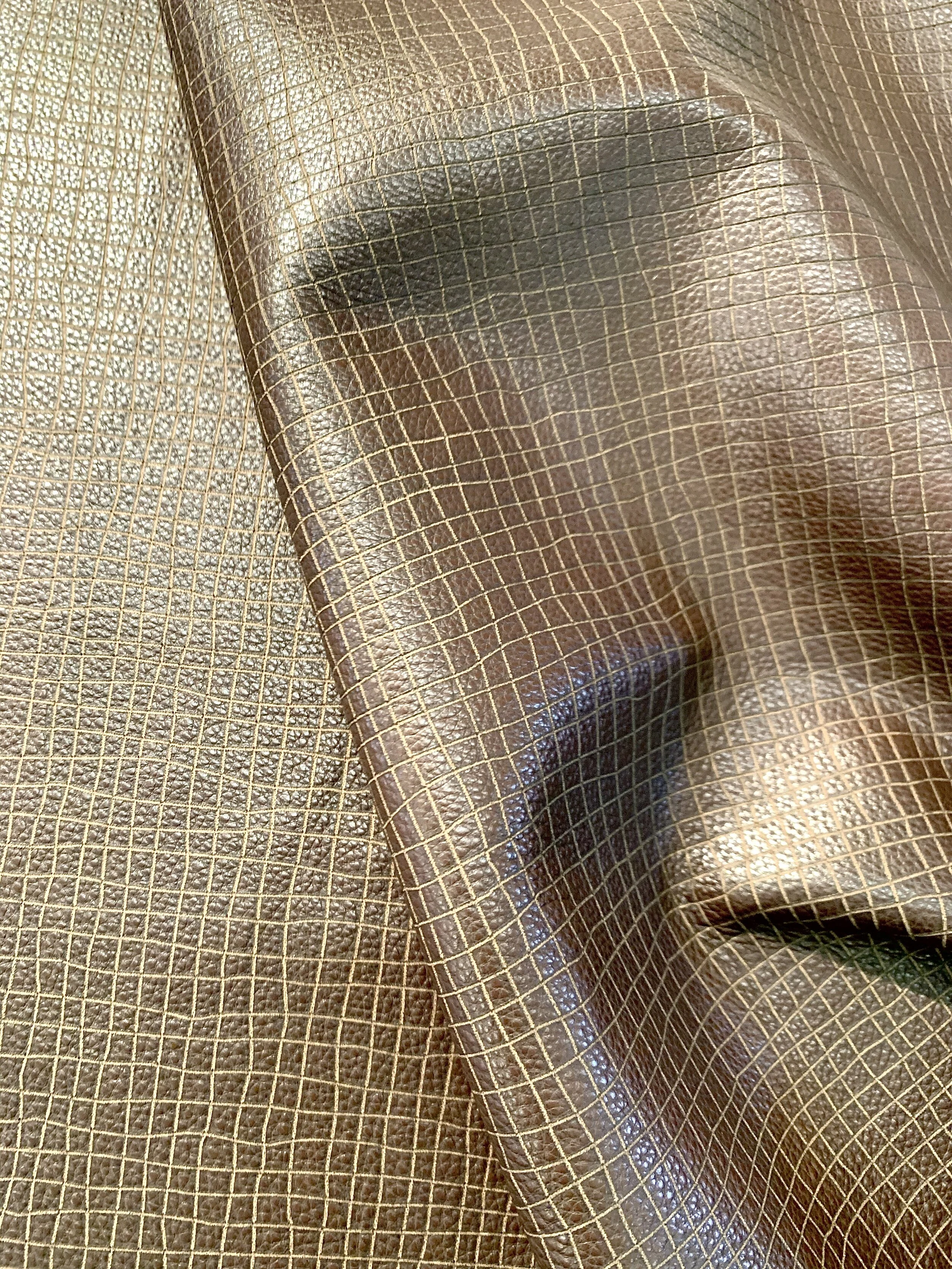 Maira Check on Paulo in Color Marron