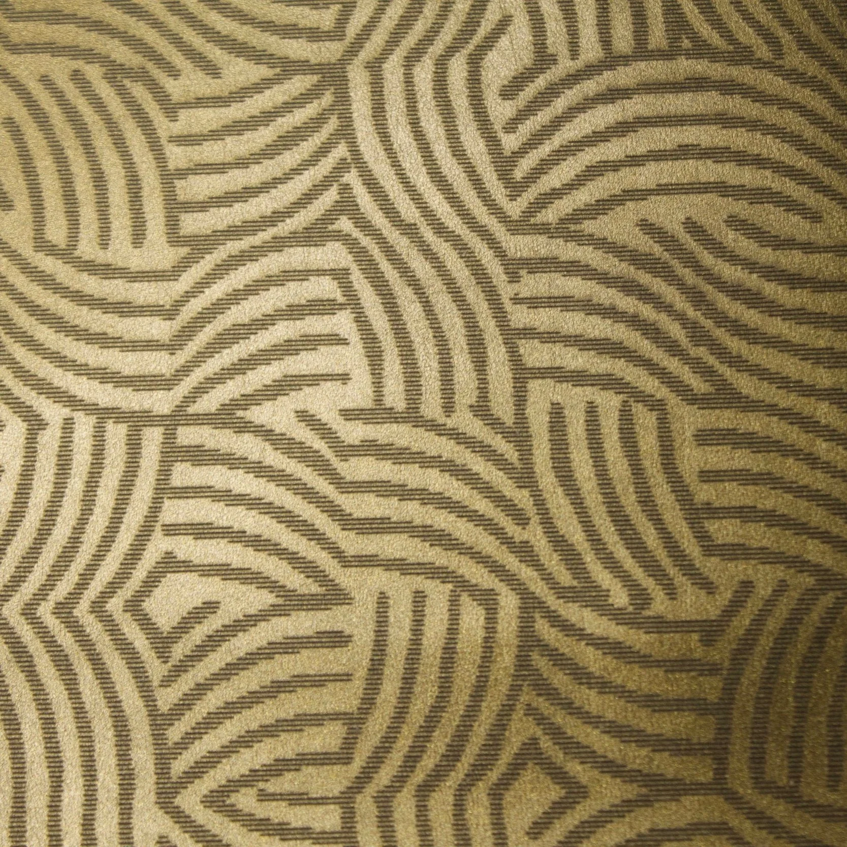 engraved  on stardust leather in bronze