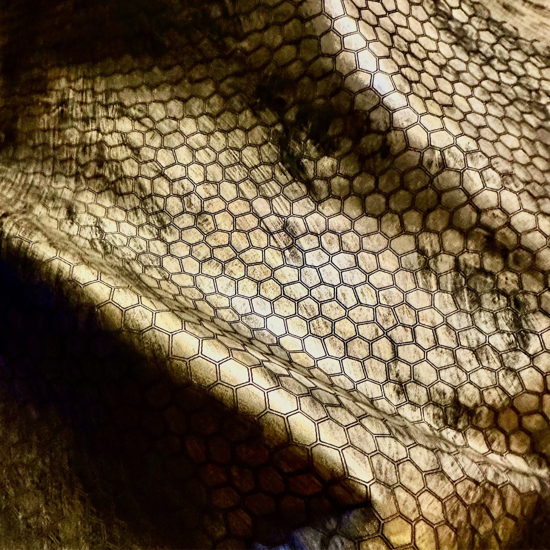 engraved on Maude leather in color clove with mondo brushed paint