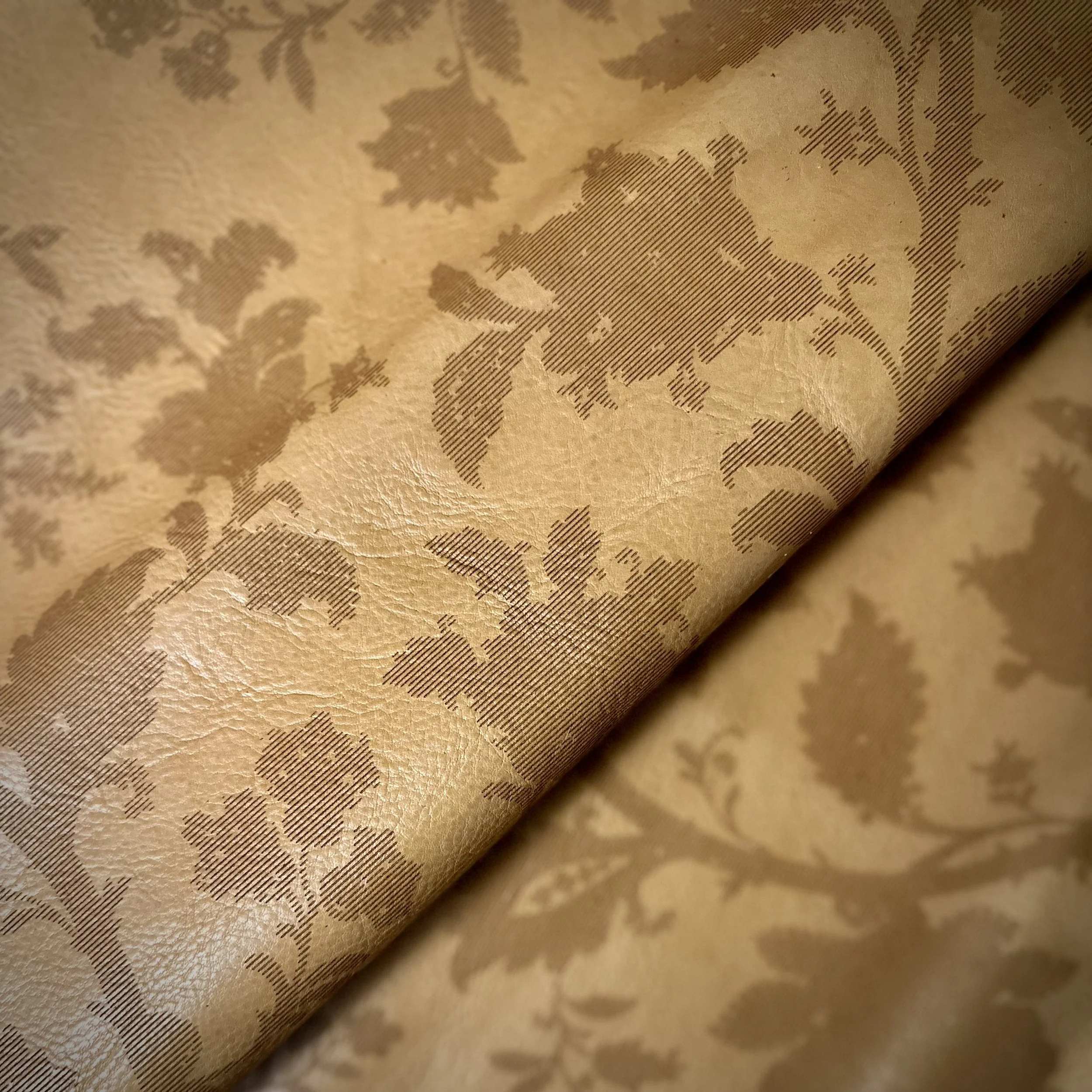 engraved on ascot leather in color Kelso