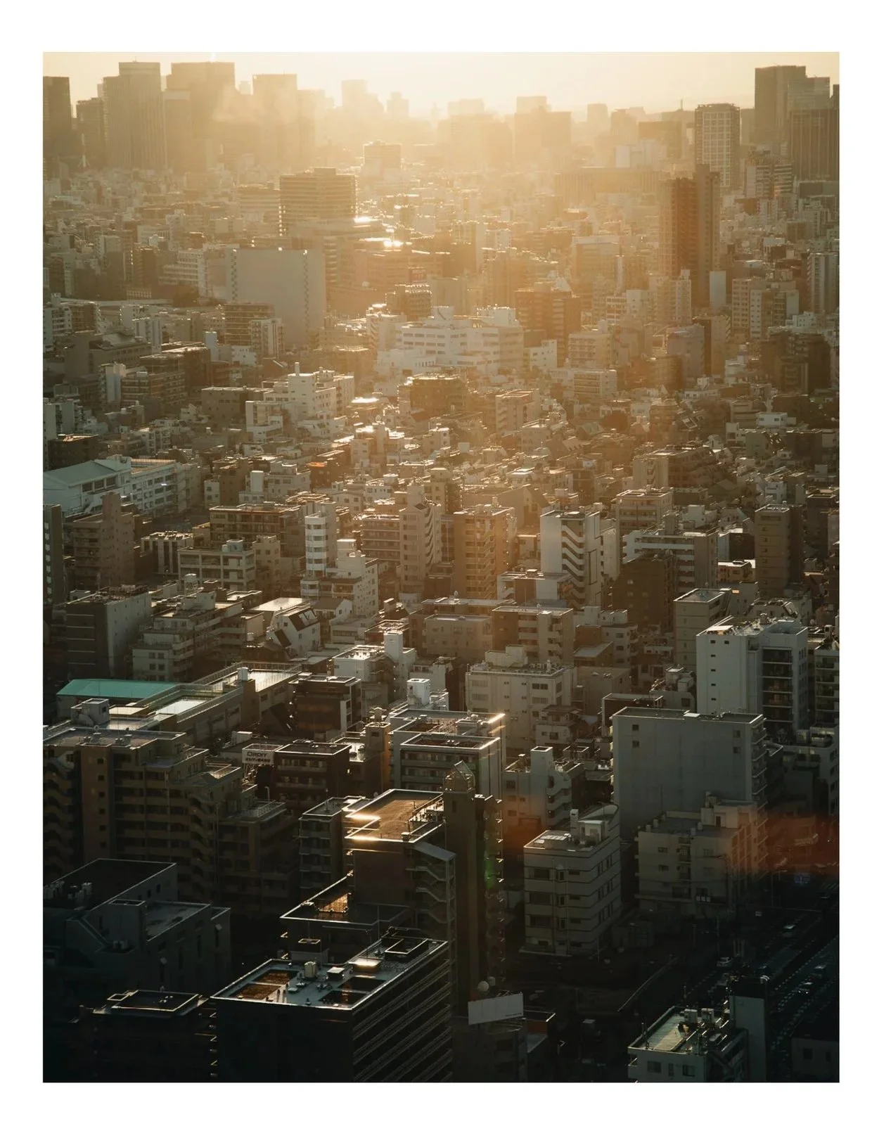 SUMIMASEN%21+color29.jpg