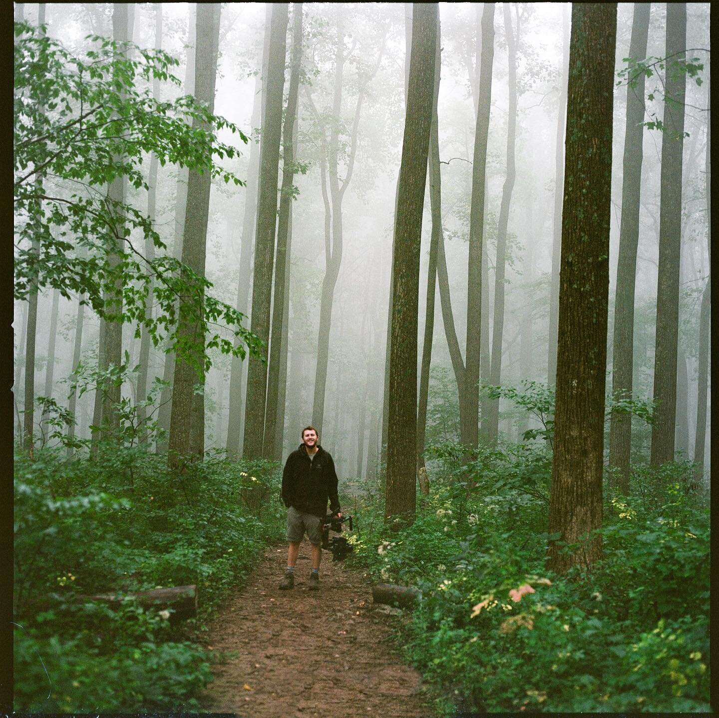 In my happy place, filming foggy trees.

🎞📷: @k80sadler