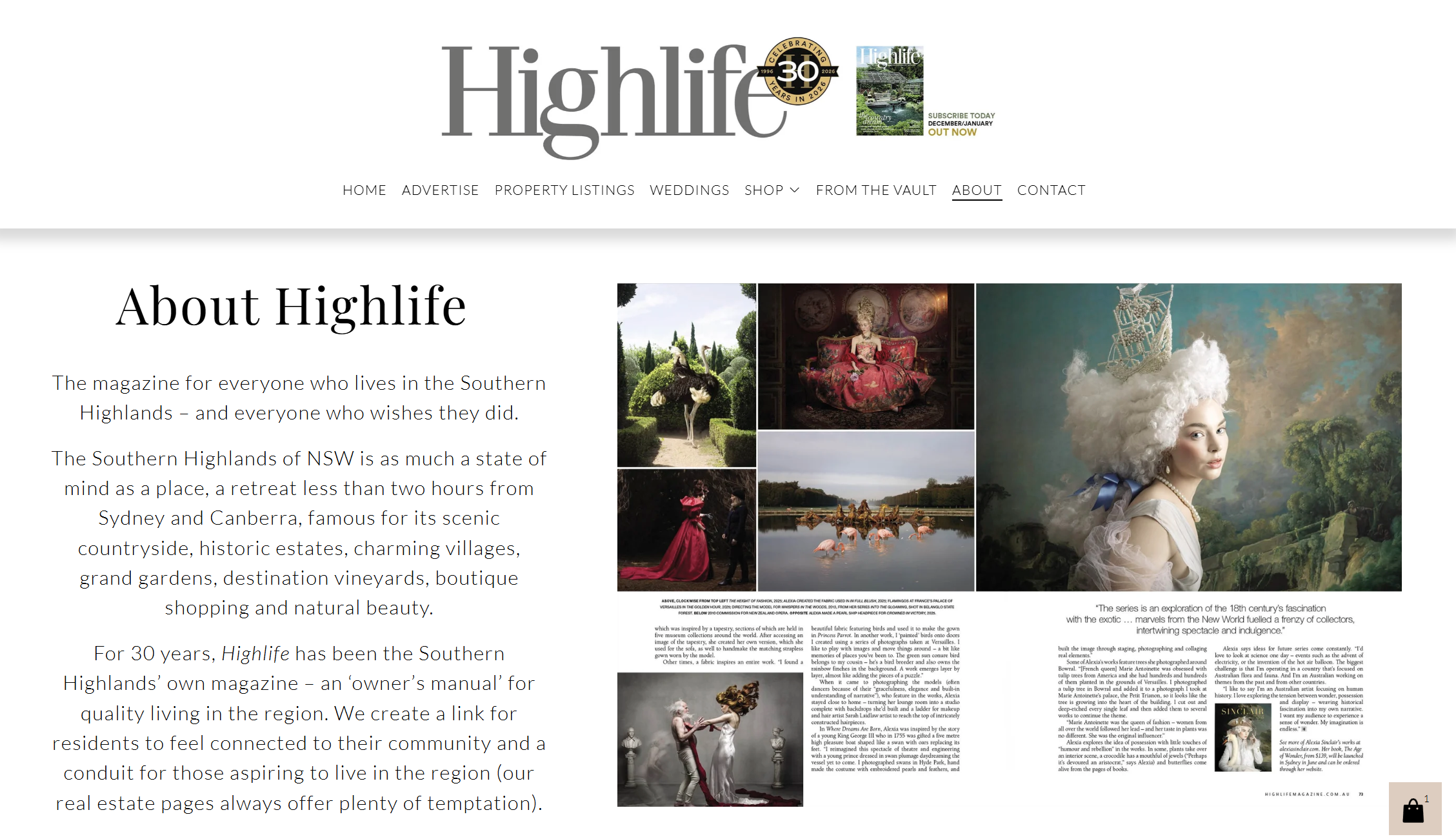Porfolio Highlife Website About.png