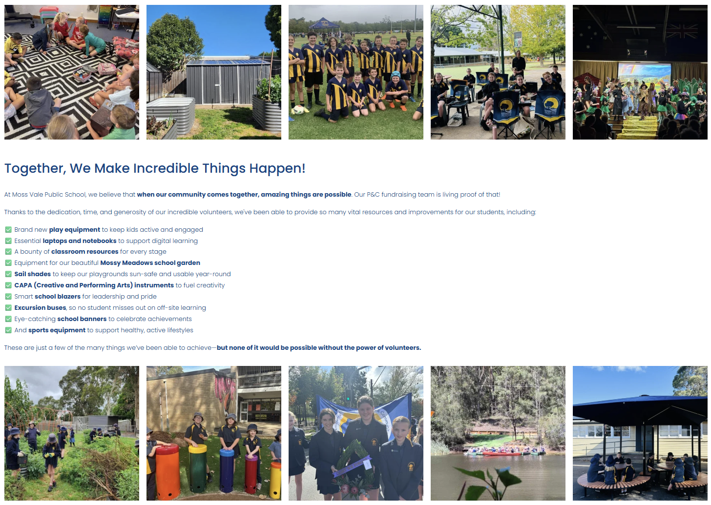 Portfolio MVPS Fundraising Goals.png