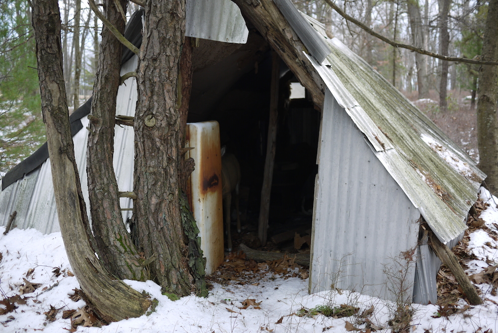  Shack, Found During Mushroom Trip, 2013, 20"x13", digital print 