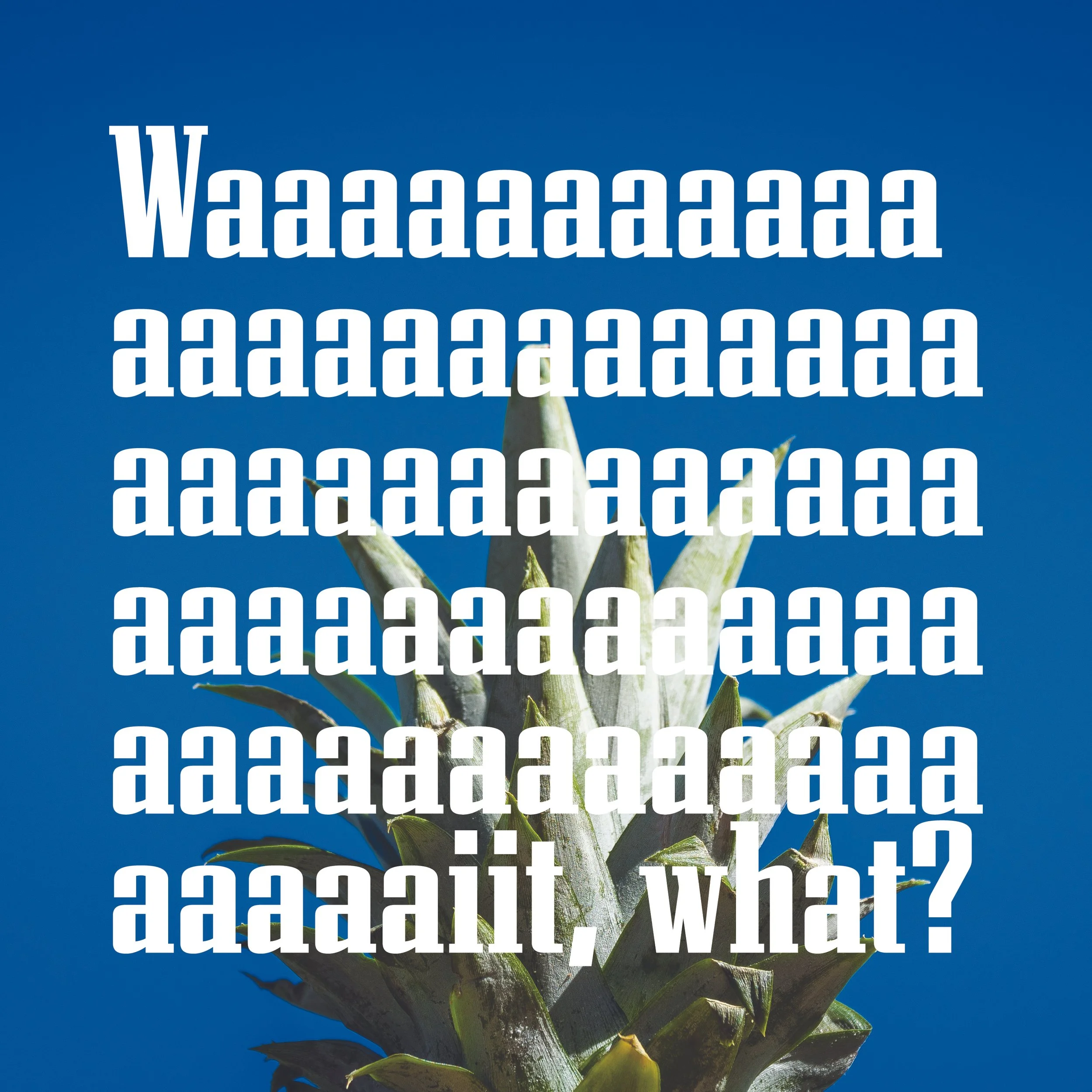 Things B Says_Book14.jpg