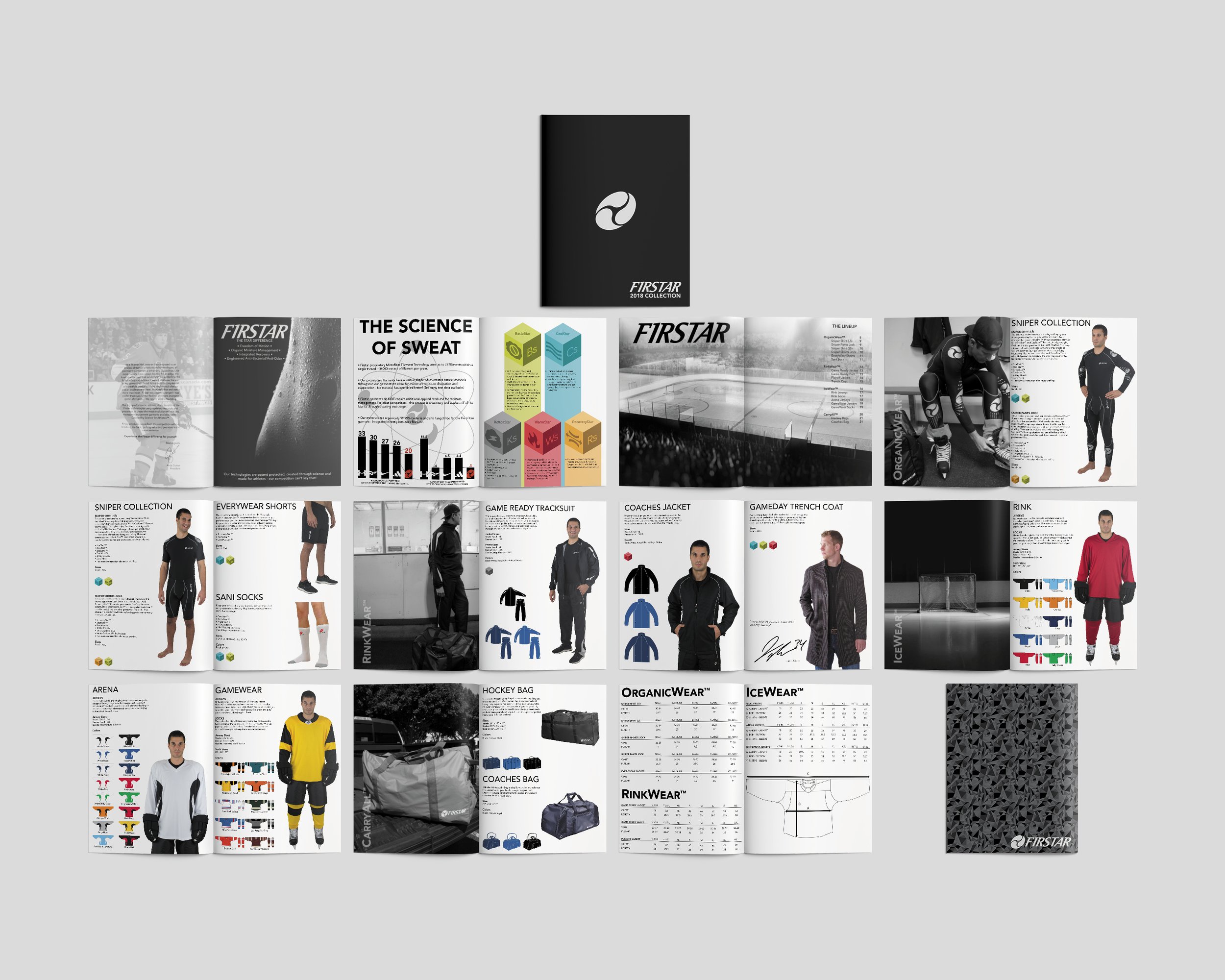 WSI_Web Horizontal2.jpg