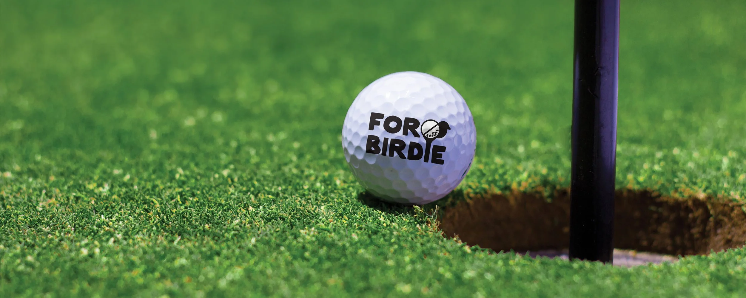 For Birdie