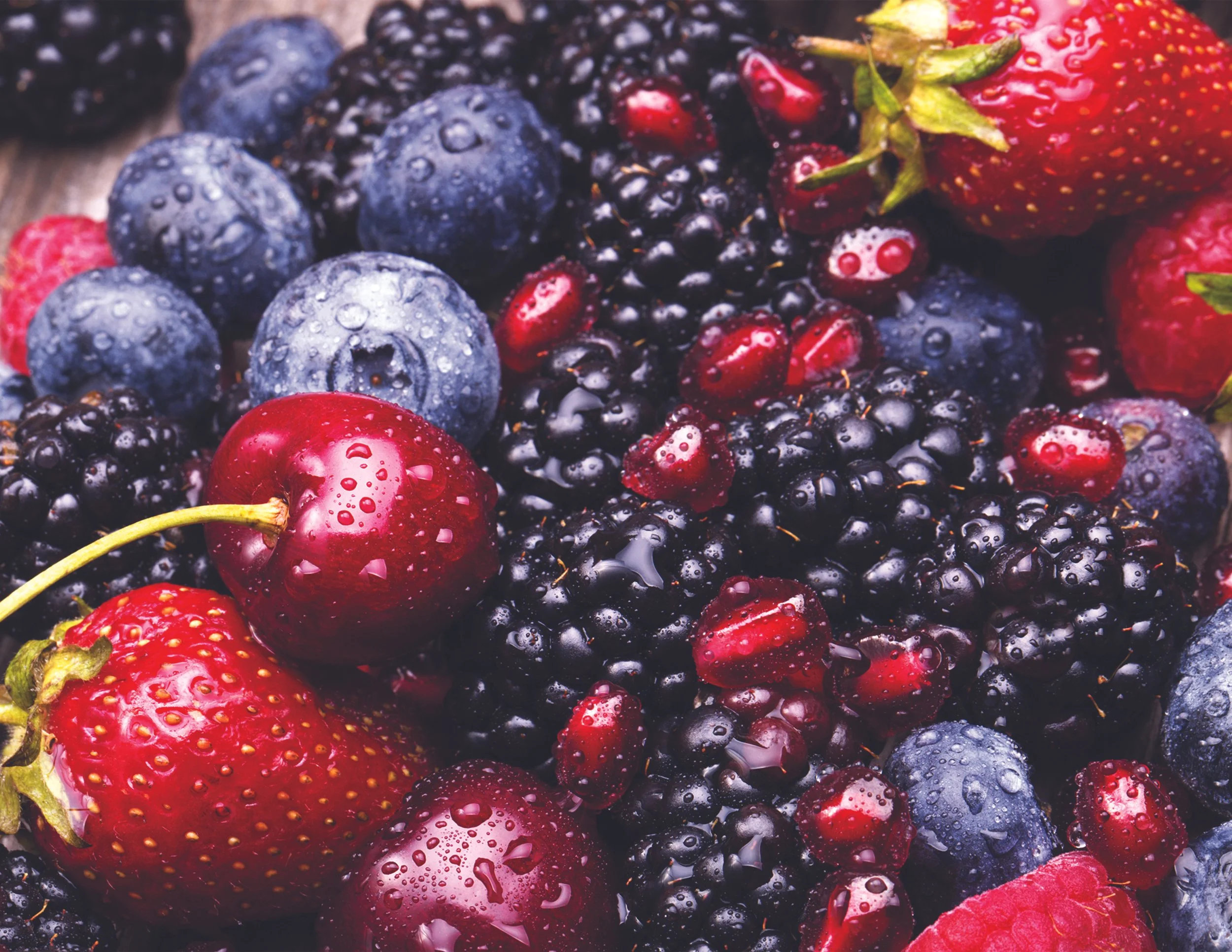 SJD_Website Cover Image_Jomo.jpg