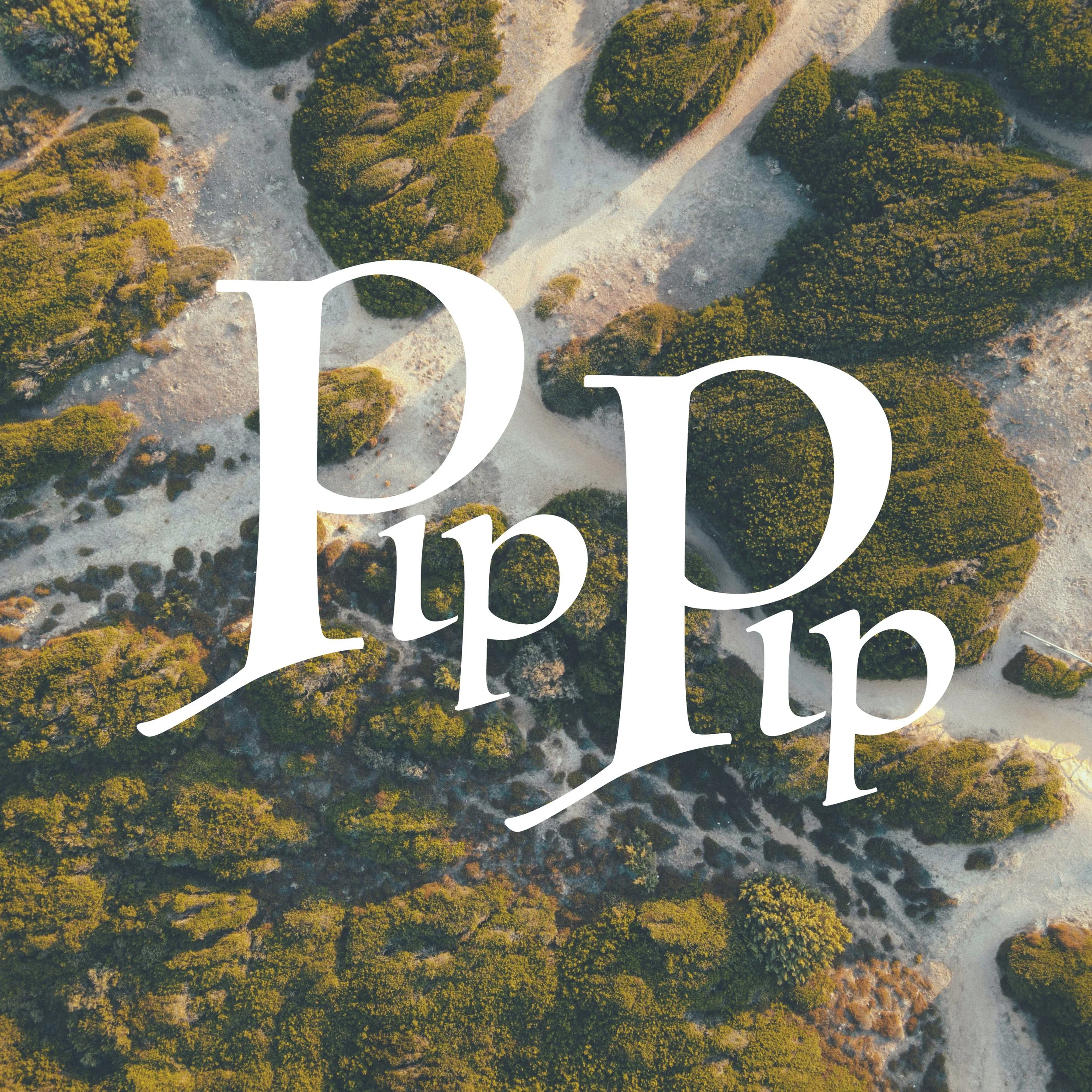 Things B Says_Book26.jpg