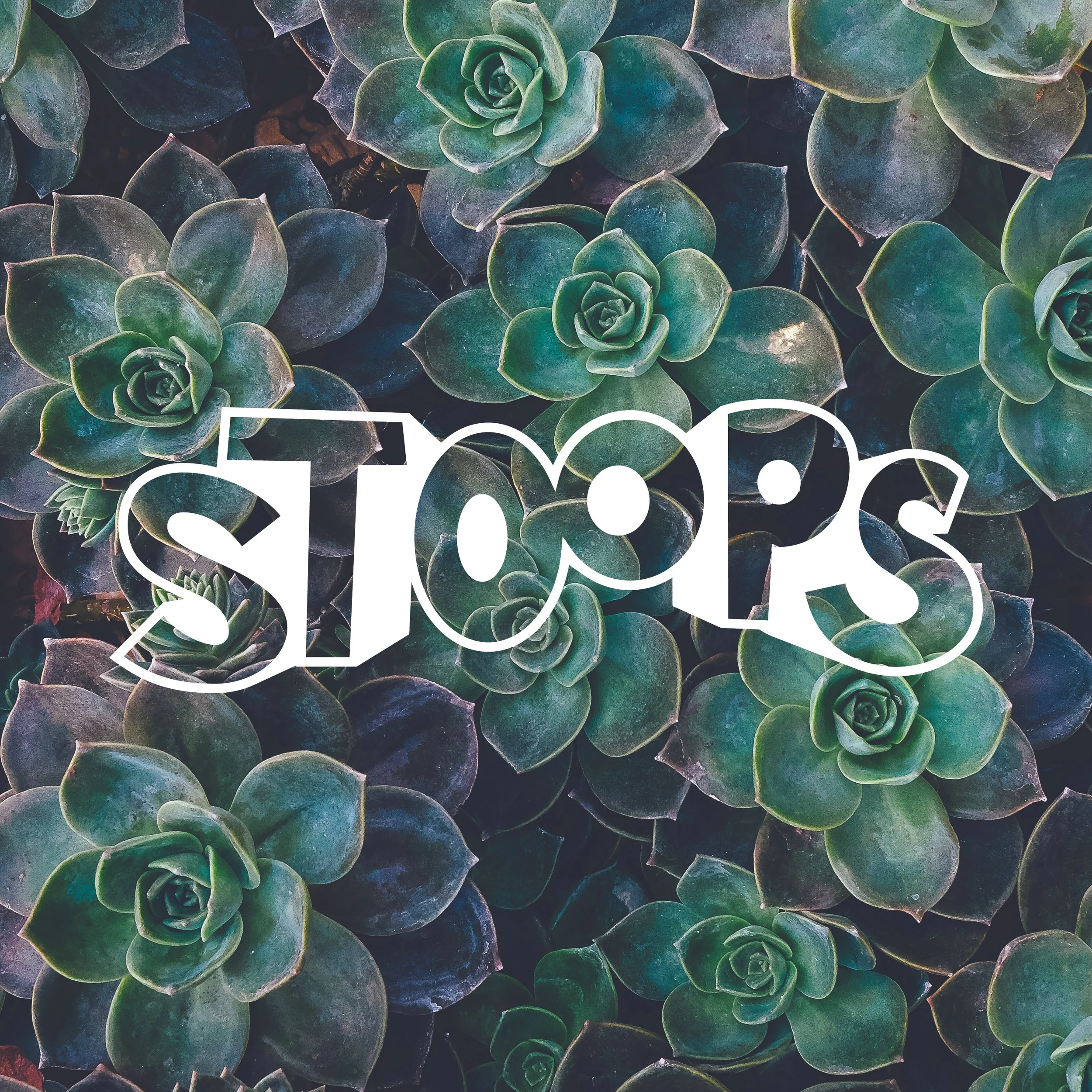 Things B Says_Book18.jpg