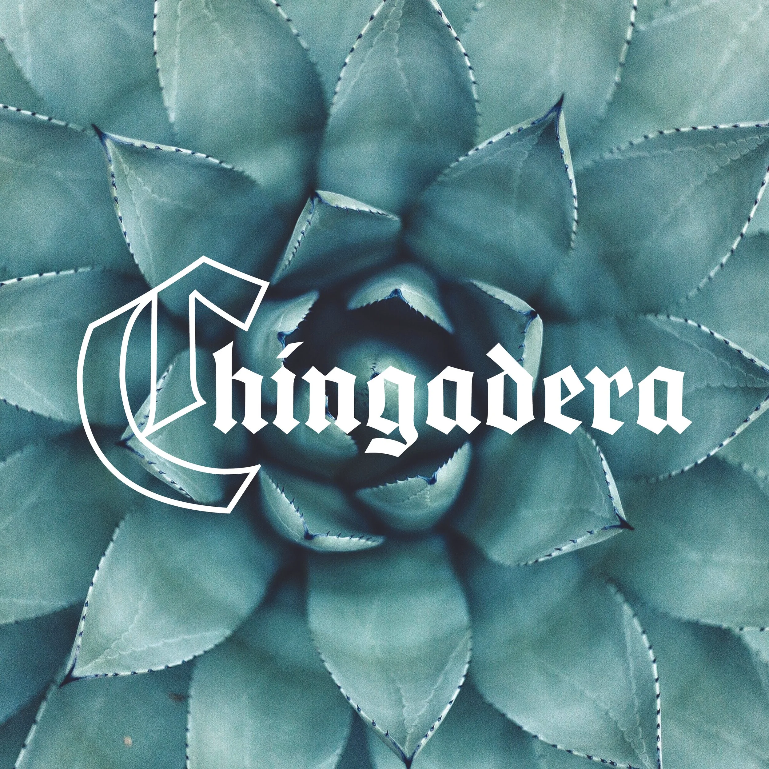 Things B Says_Book7.jpg