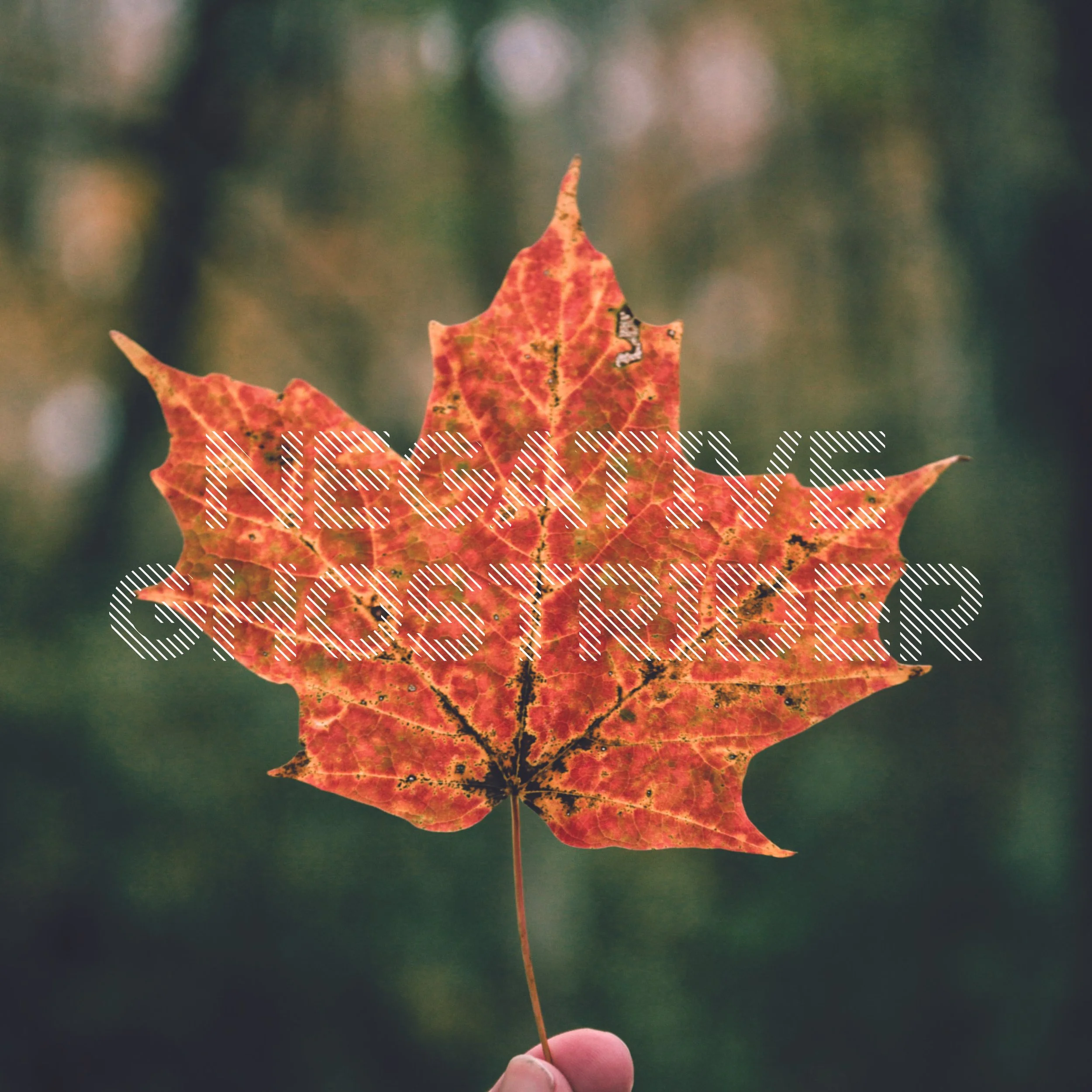 Things B Says_Book22.jpg