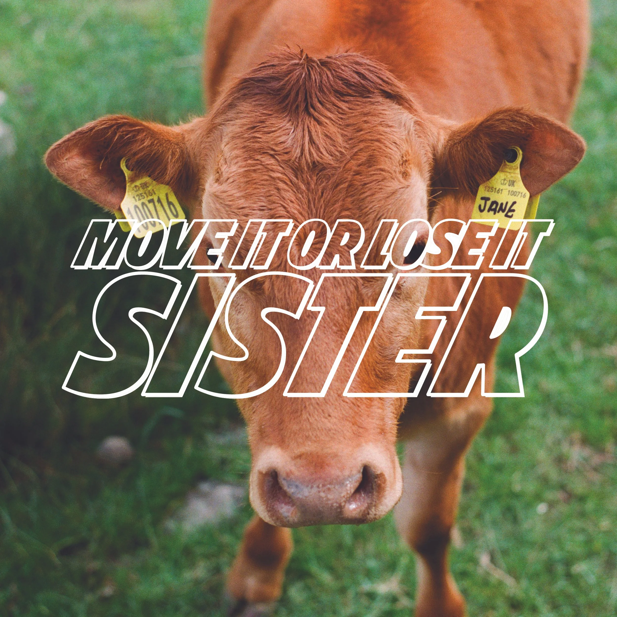 Things B Says_Book13.jpg