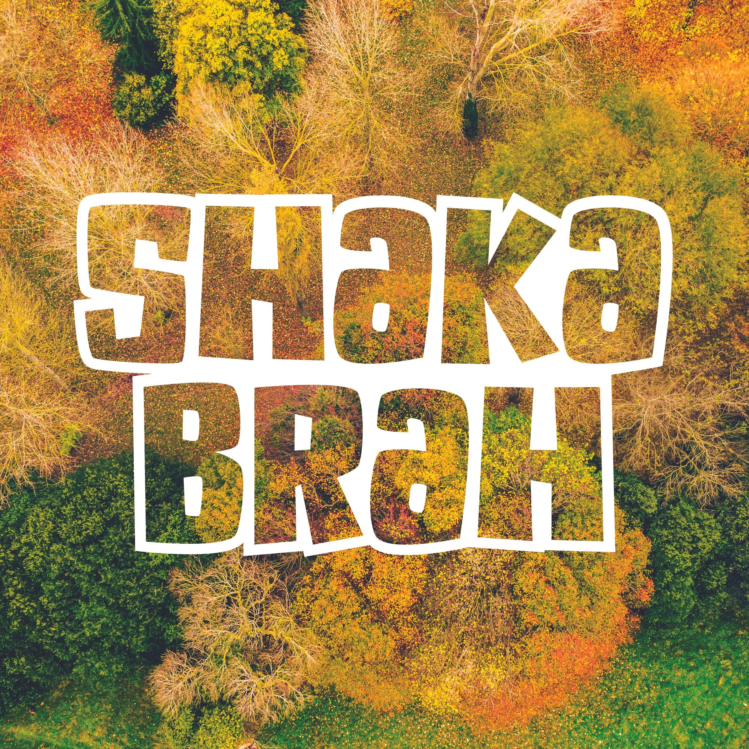 Things B Says_Book17.jpg