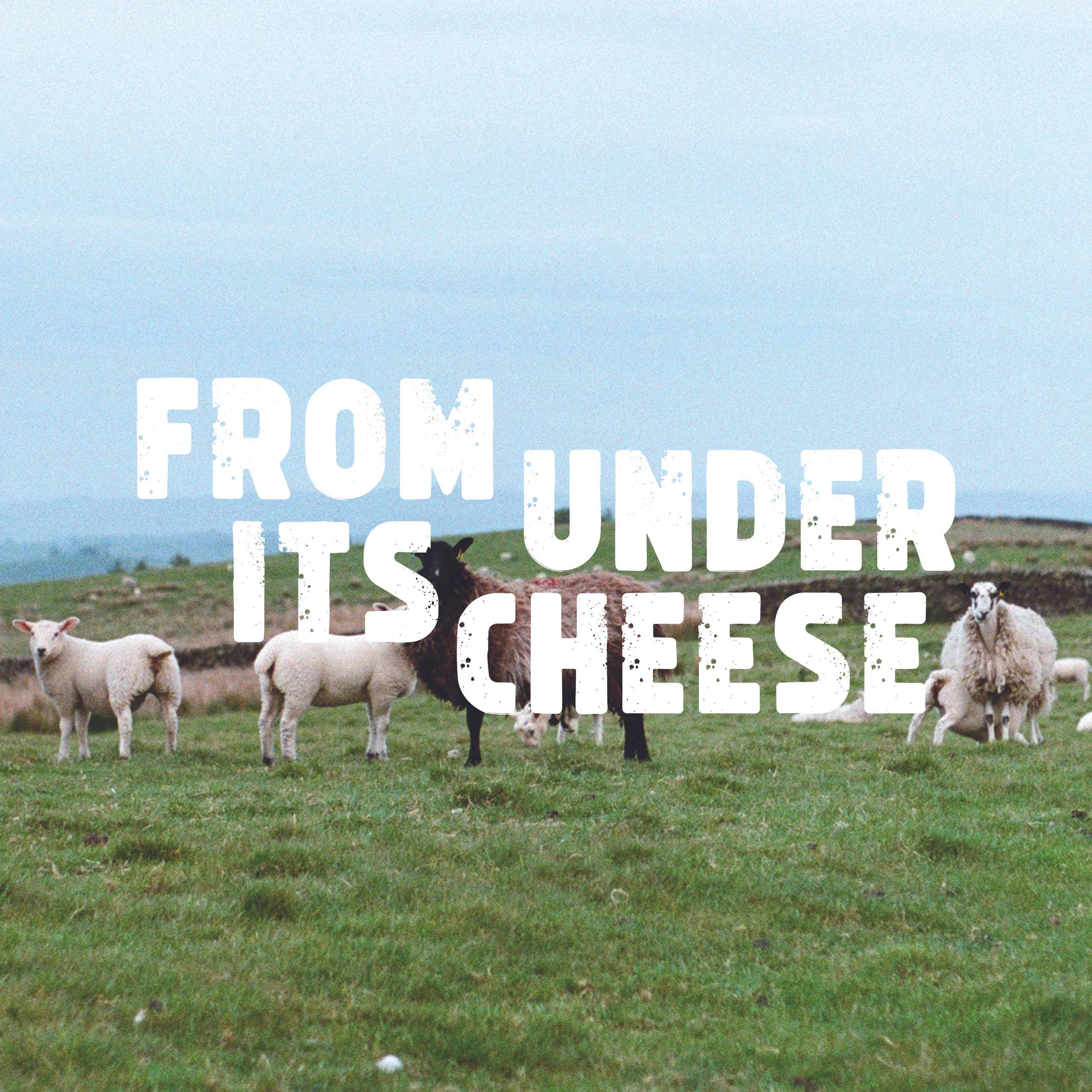 Things B Says_Book24.jpg