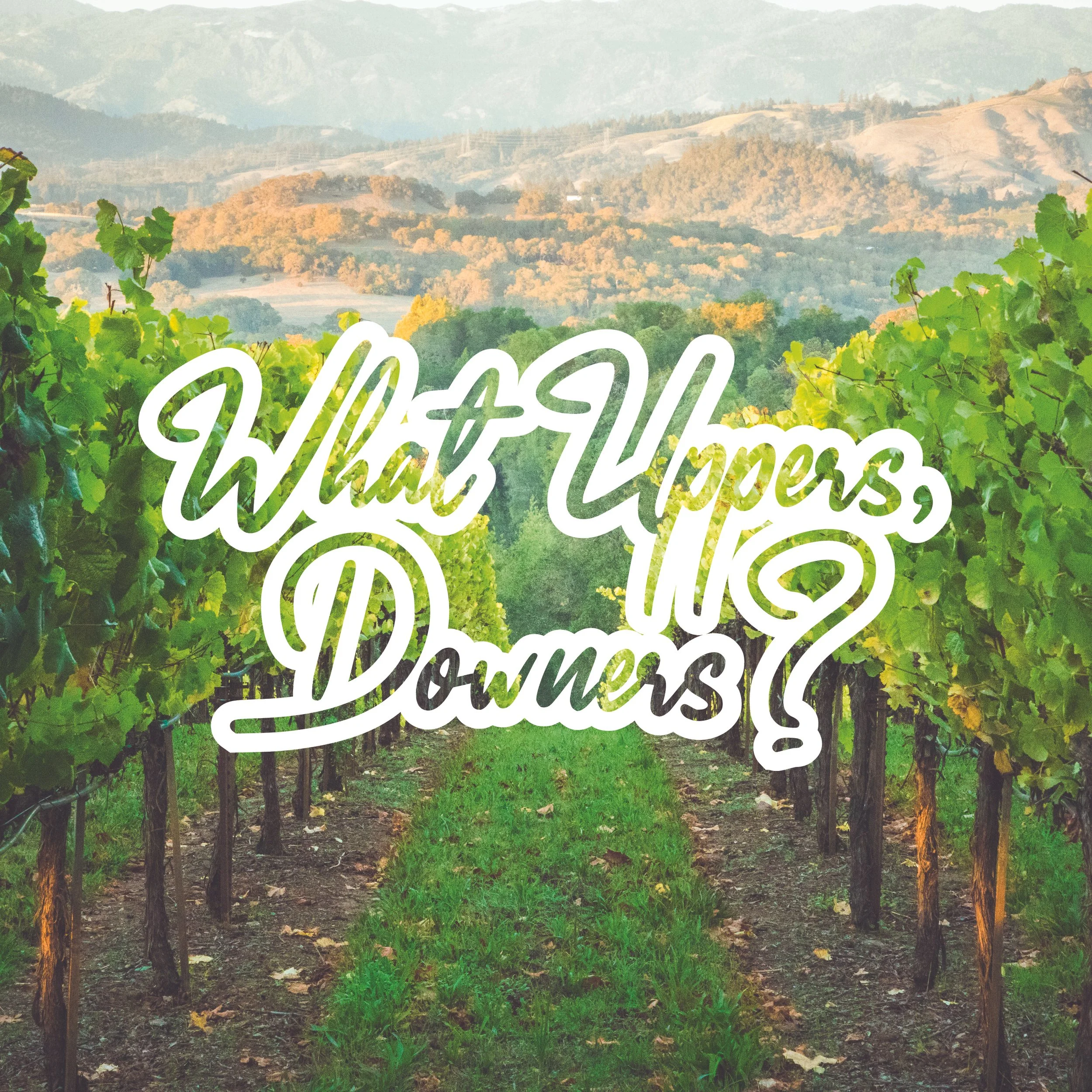 Things B Says_Book28.jpg