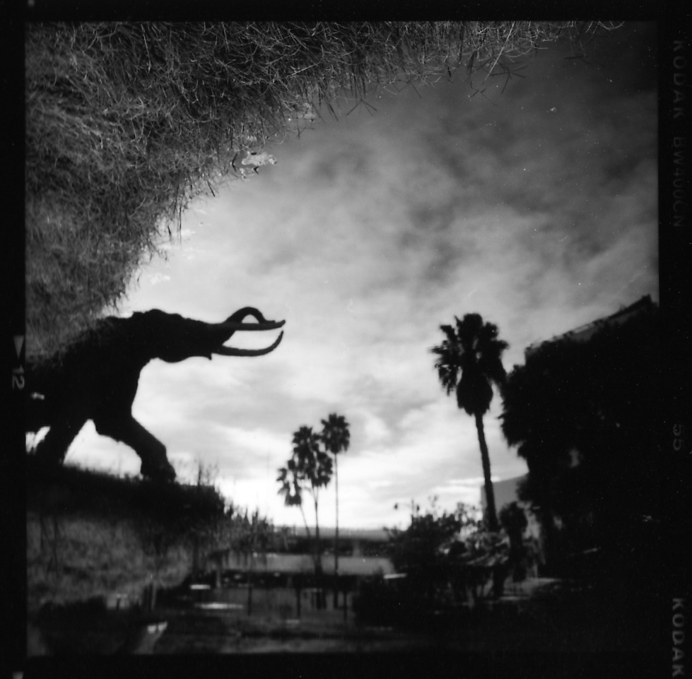 tar pits