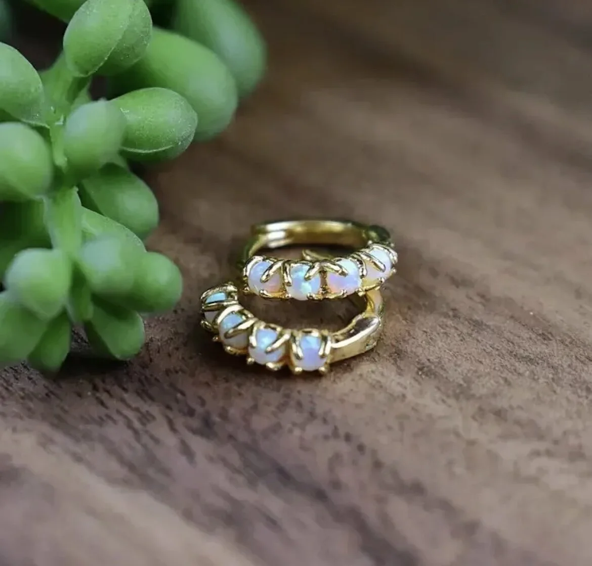 B075F4FE-50AB-403A-A5D6-D8BAFDDE5FD9