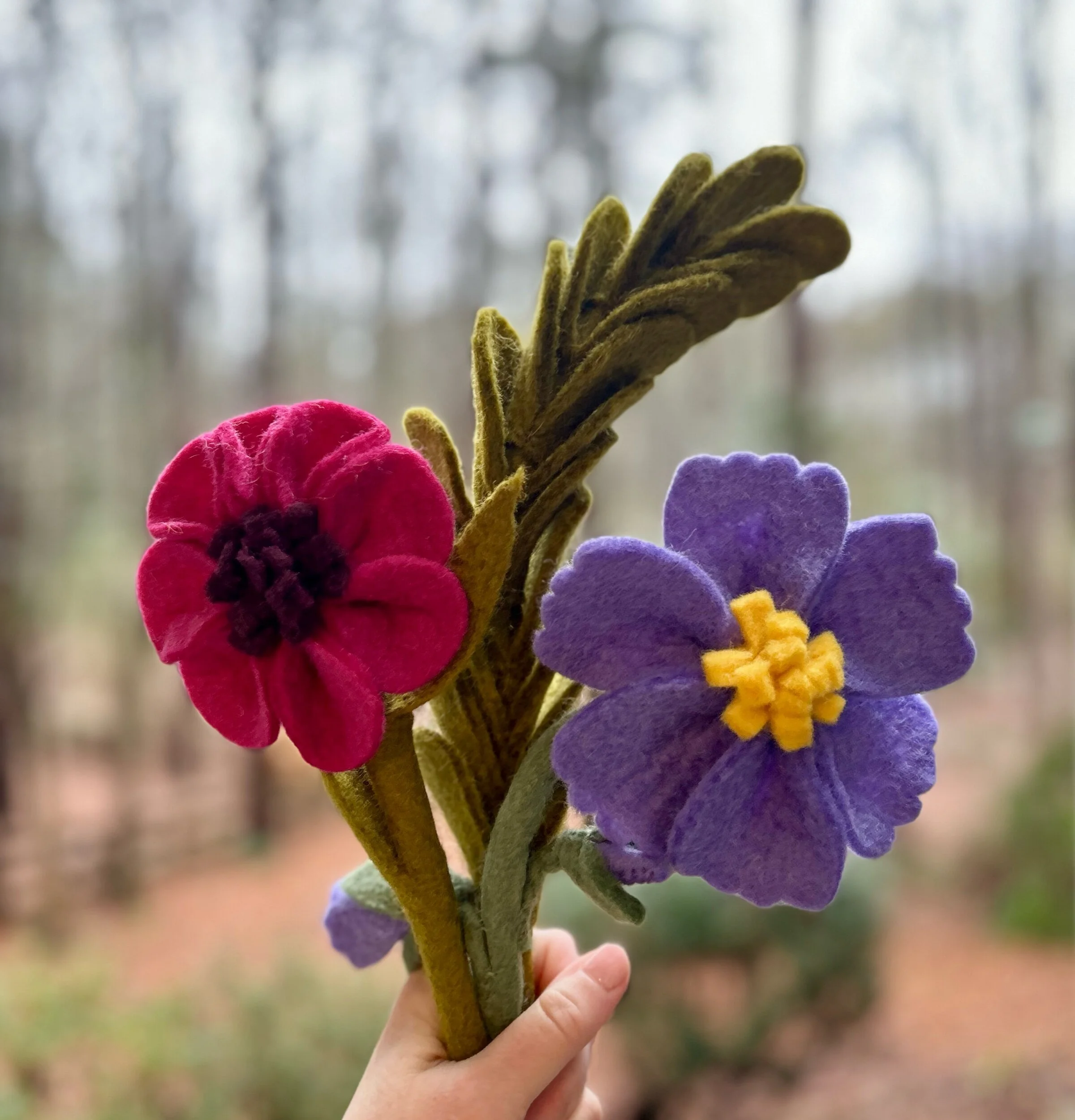 2E8069C5-C905-465C-B1BC-840A9EE791E5