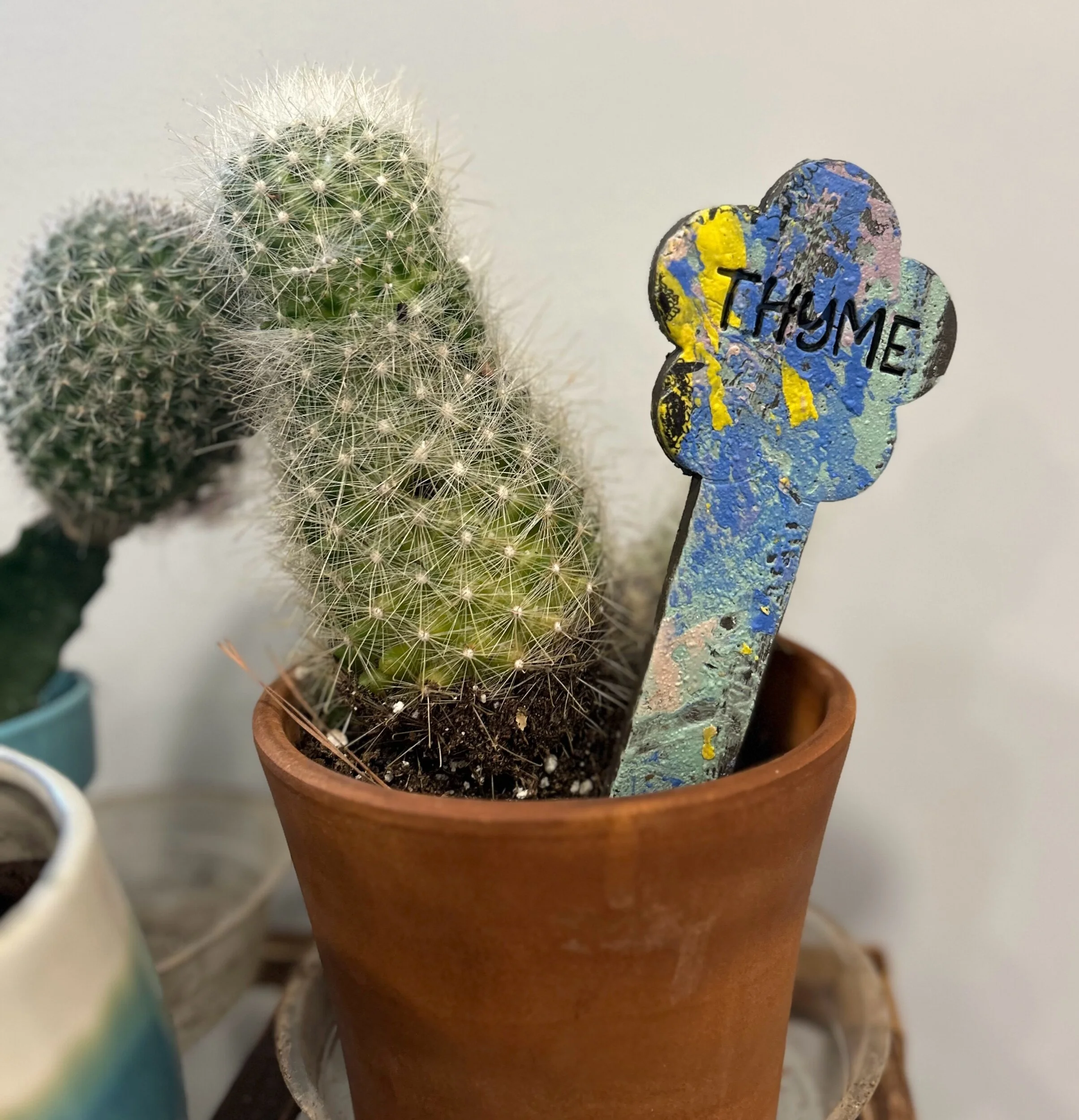 7FA036F2-153C-438B-8FBB-8FED5D8C1A99