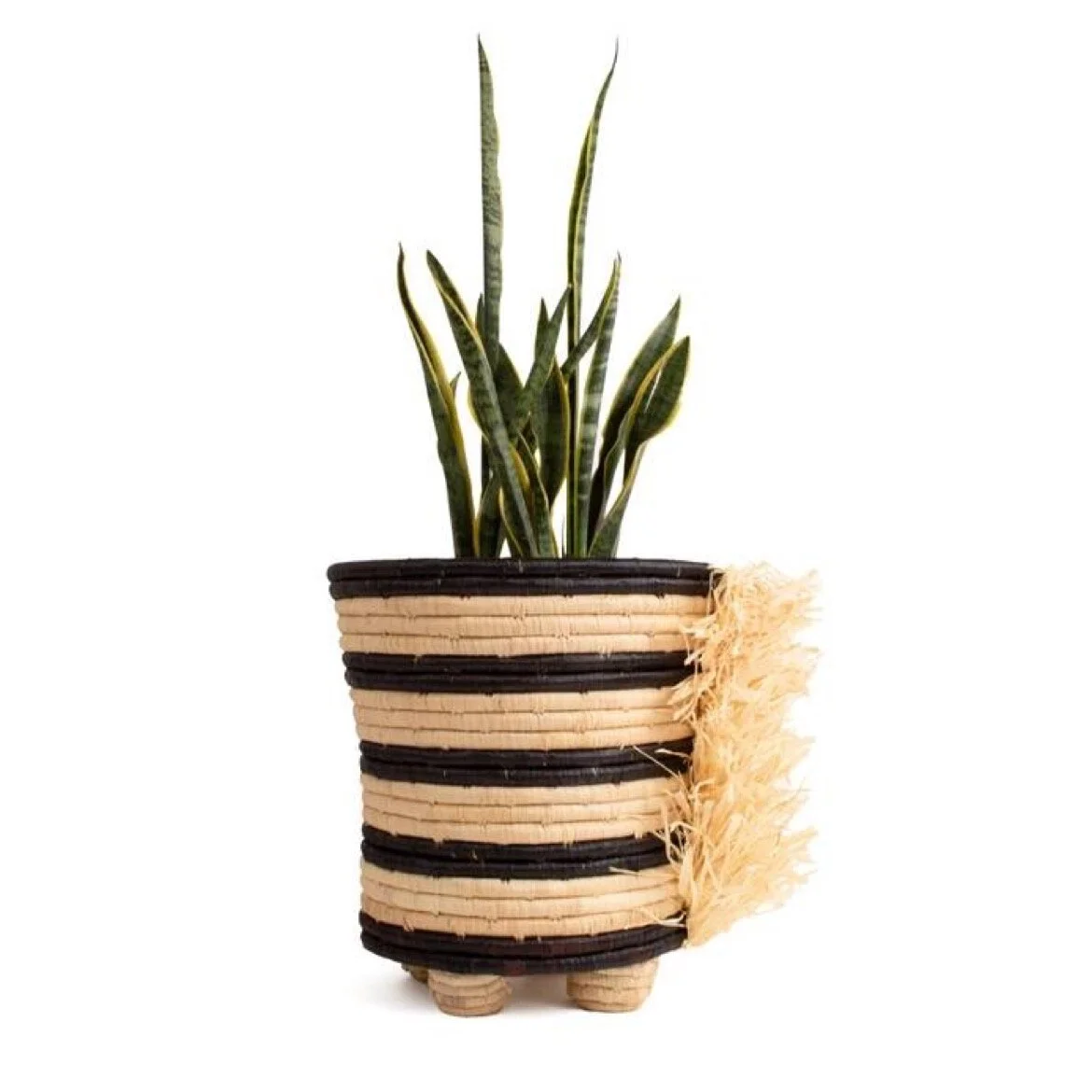 4ED42483-A67C-42A9-85B6-F4C64CF4FF3D