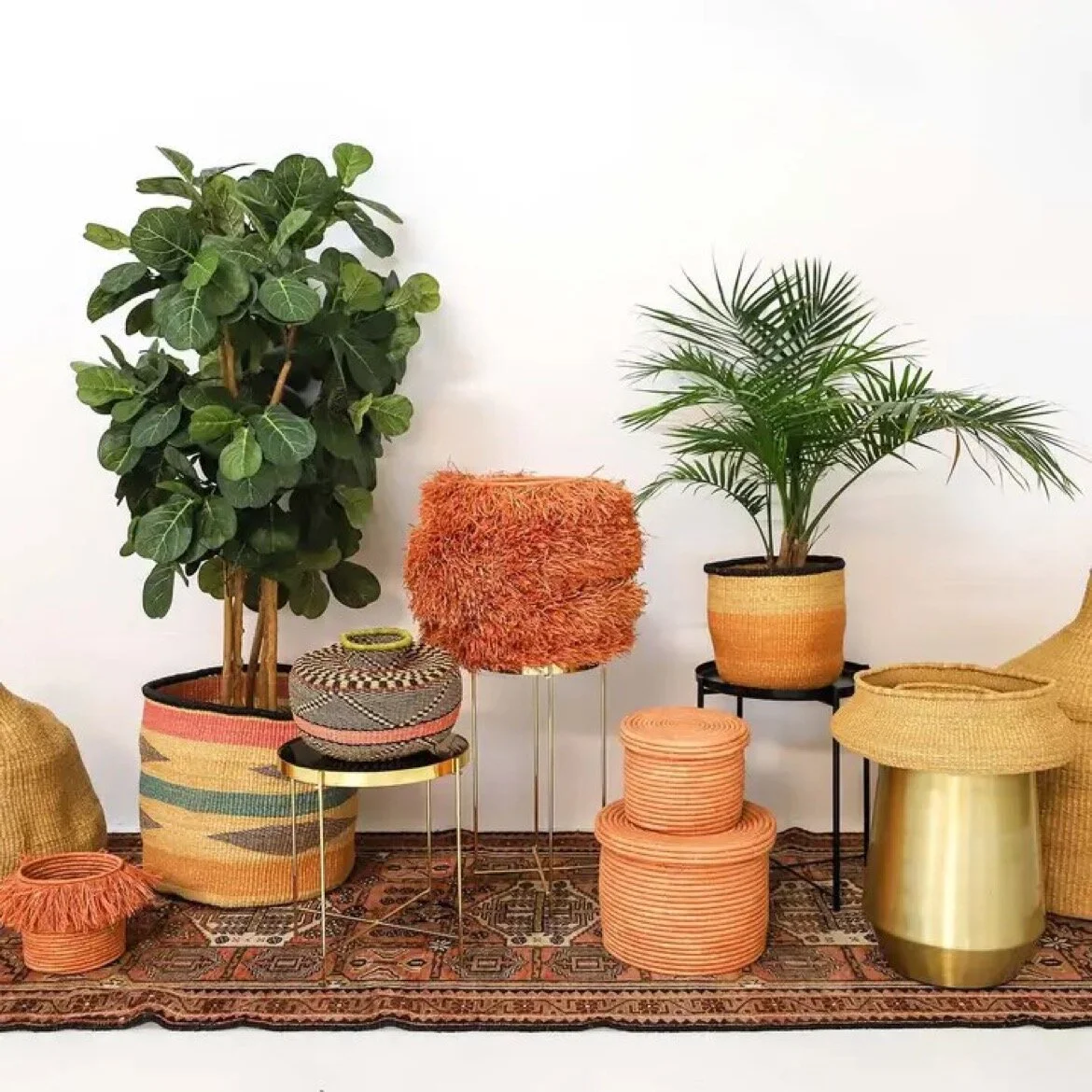 22C0E0CC-05EA-44C9-8081-7444C586B14D