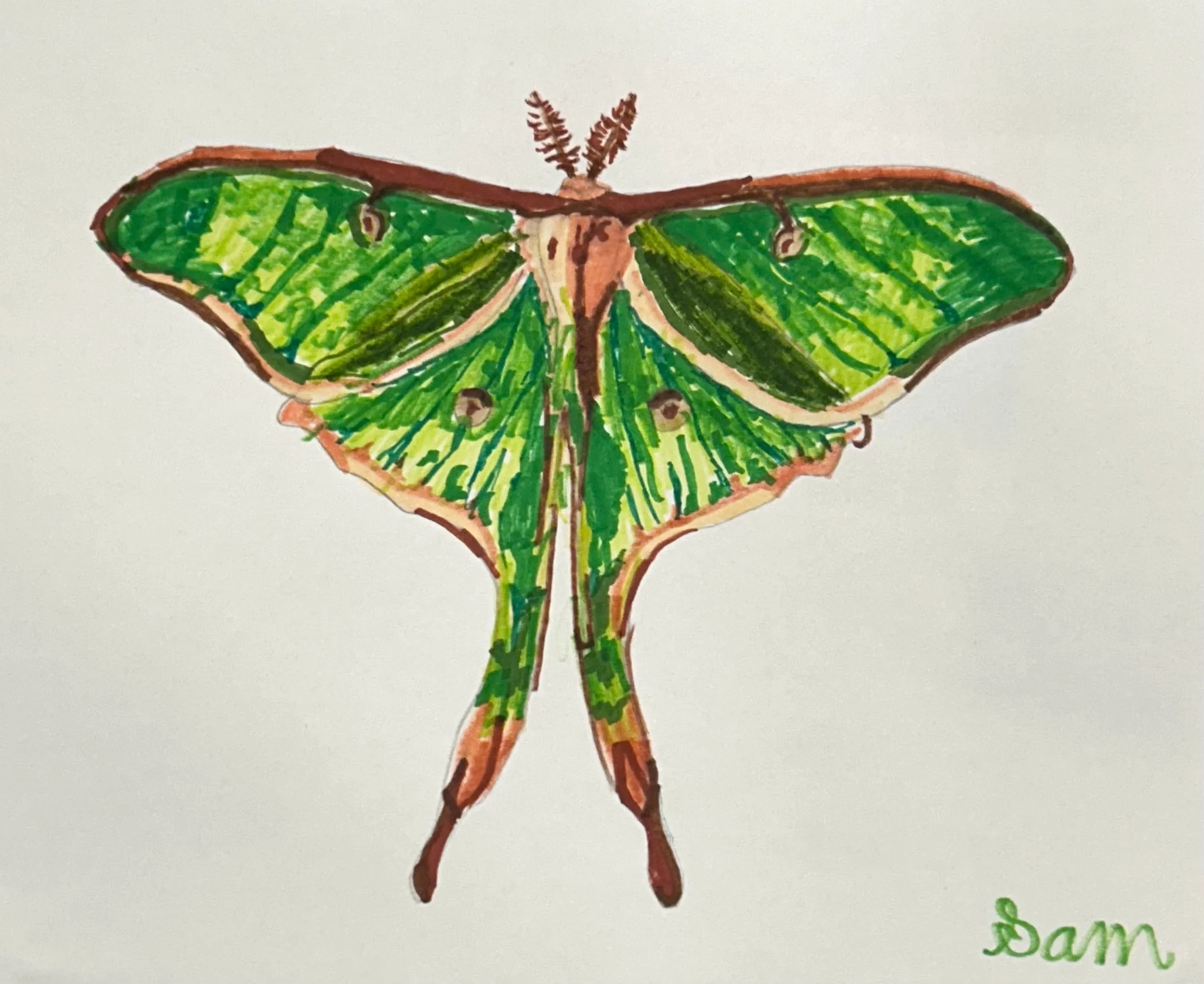 940B37DA-0806-4829-8F8A-910FFF9419BD