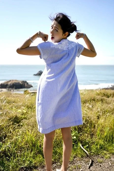 Embroidered Chambray Stripe Tunic Dress, sizes S-XL The Sparrow Studio Embroidered Chambray Stripe Tunic Dress, sizes S-XL The Sparrow Studio