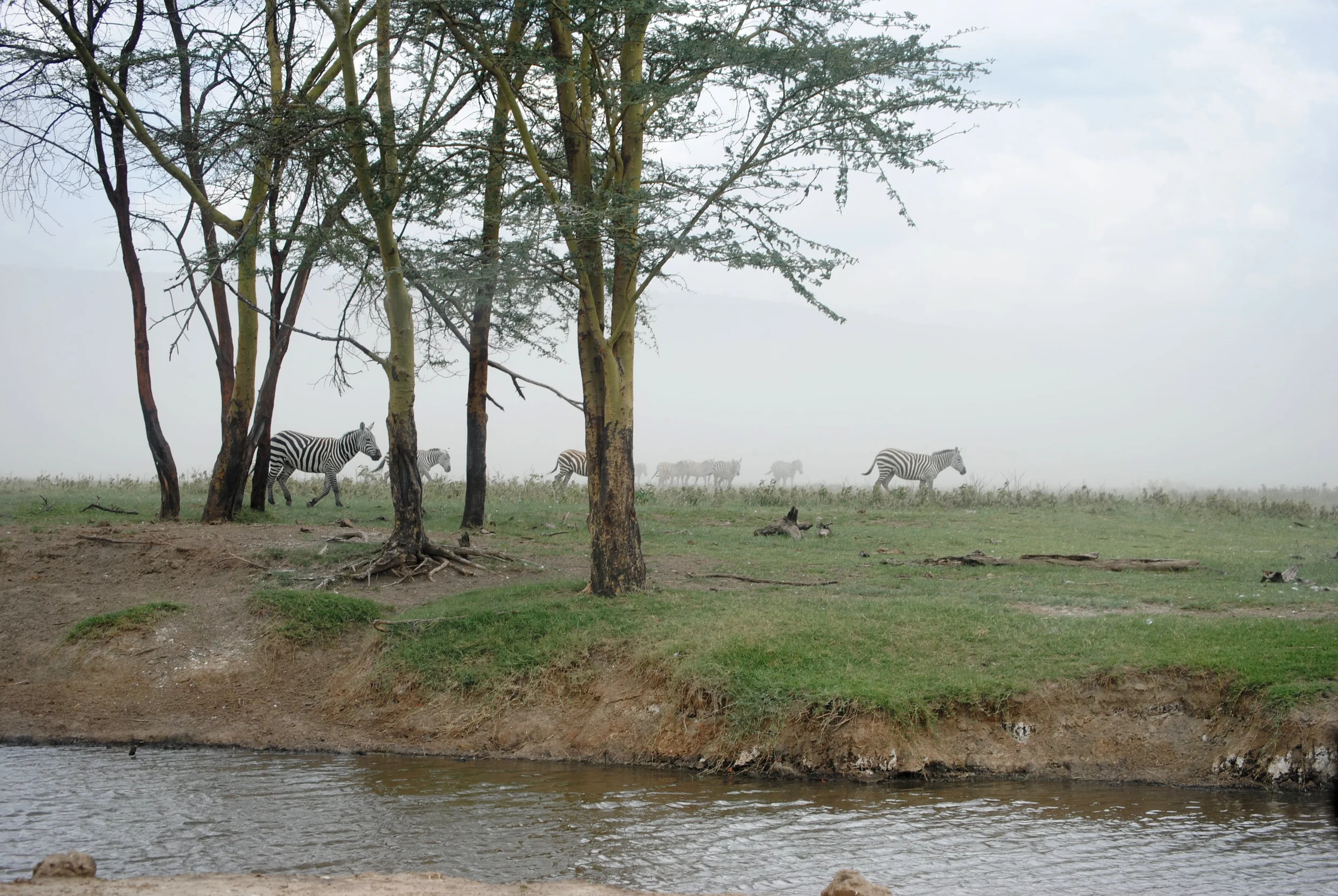 DSC_1304.JPG