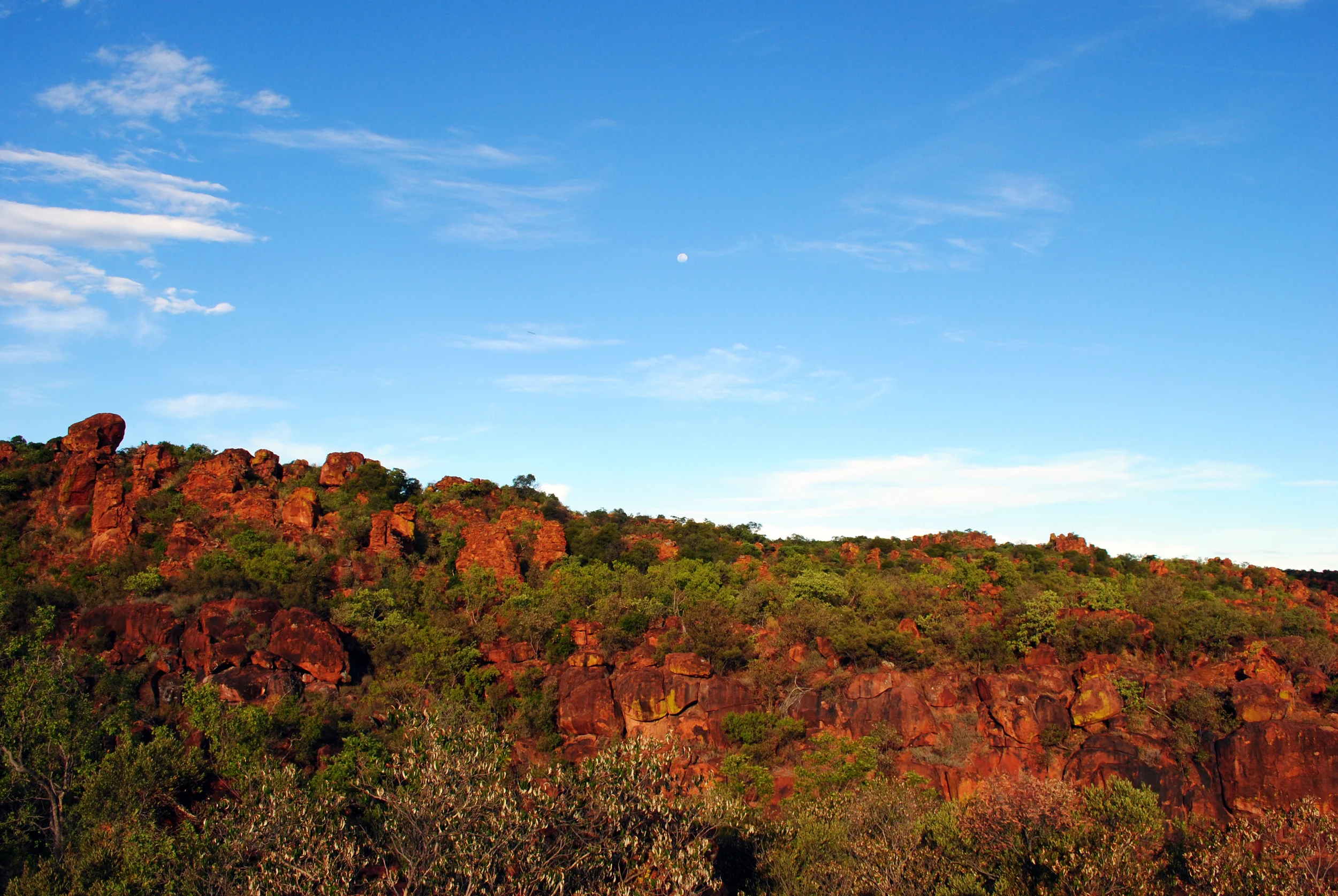 DSC_0189-1.JPG