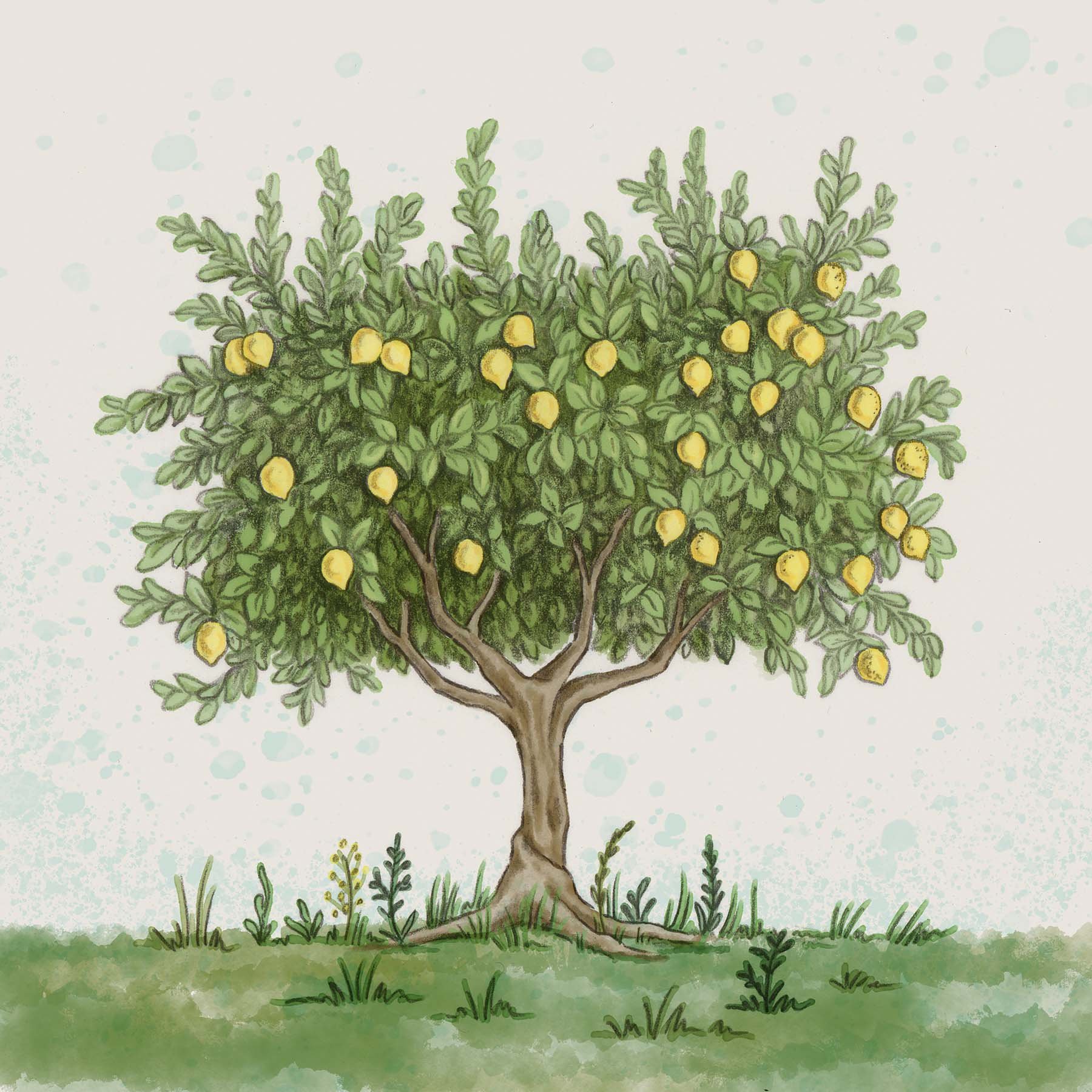 Orchards300.jpg