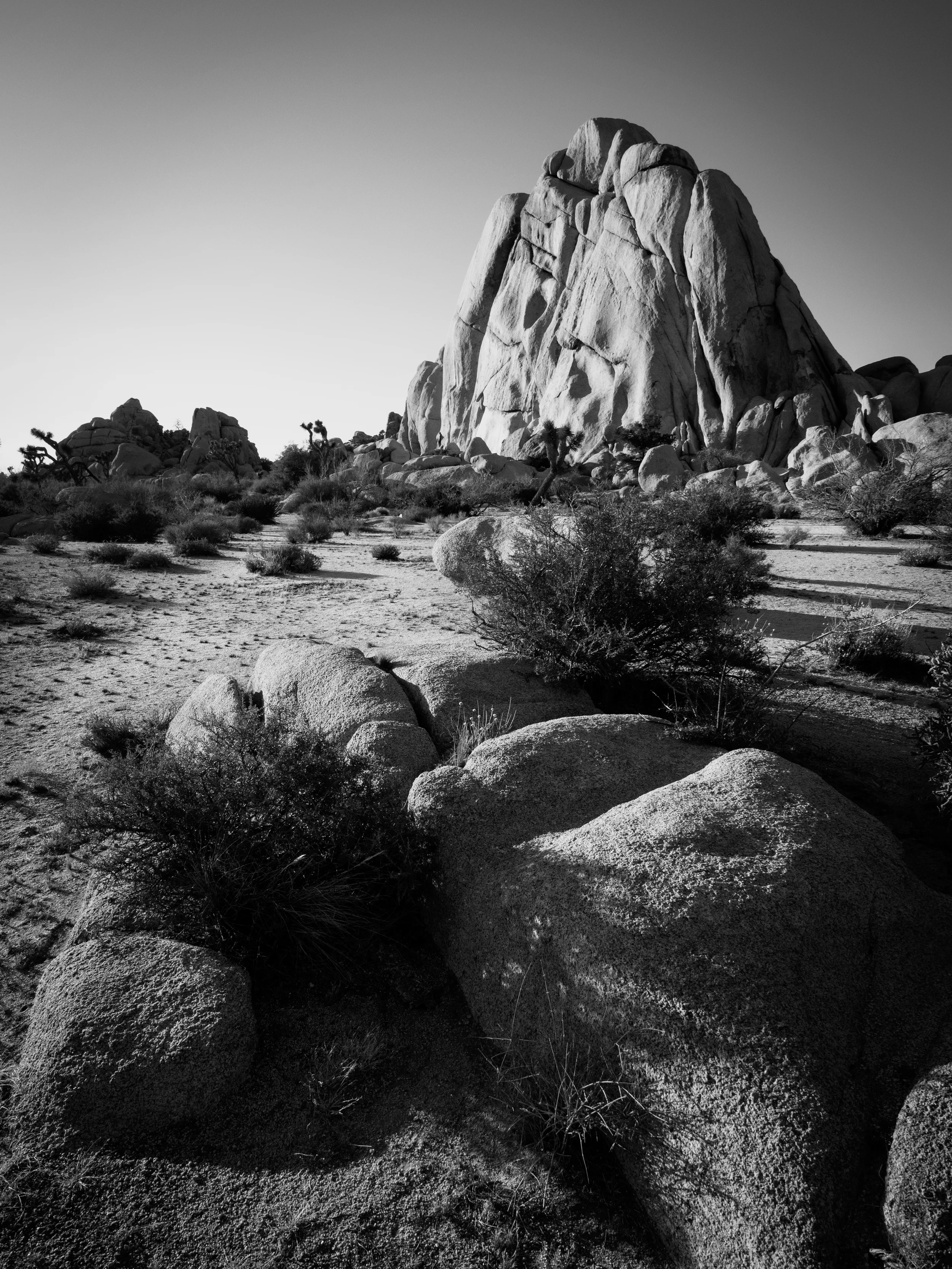 Joshua Tree National Park