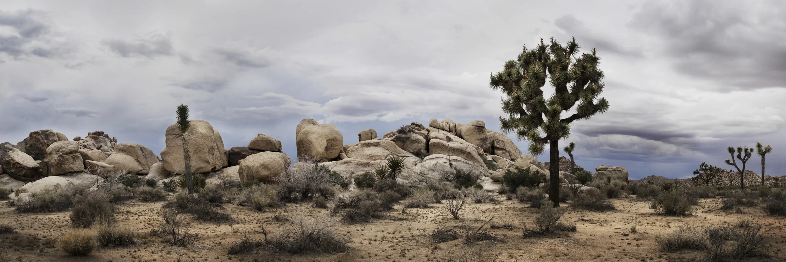 Desolation in the Desert