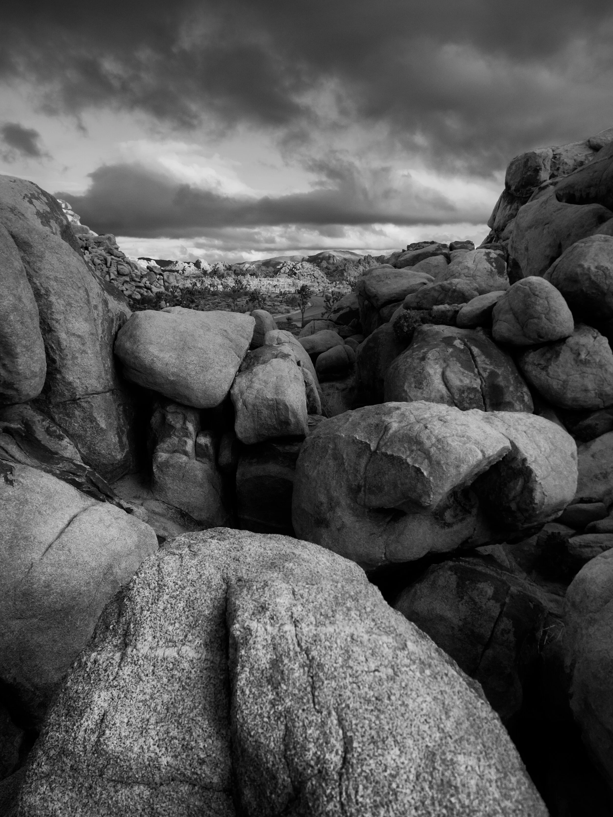 Searching for Serenity as a Pandemic Grows