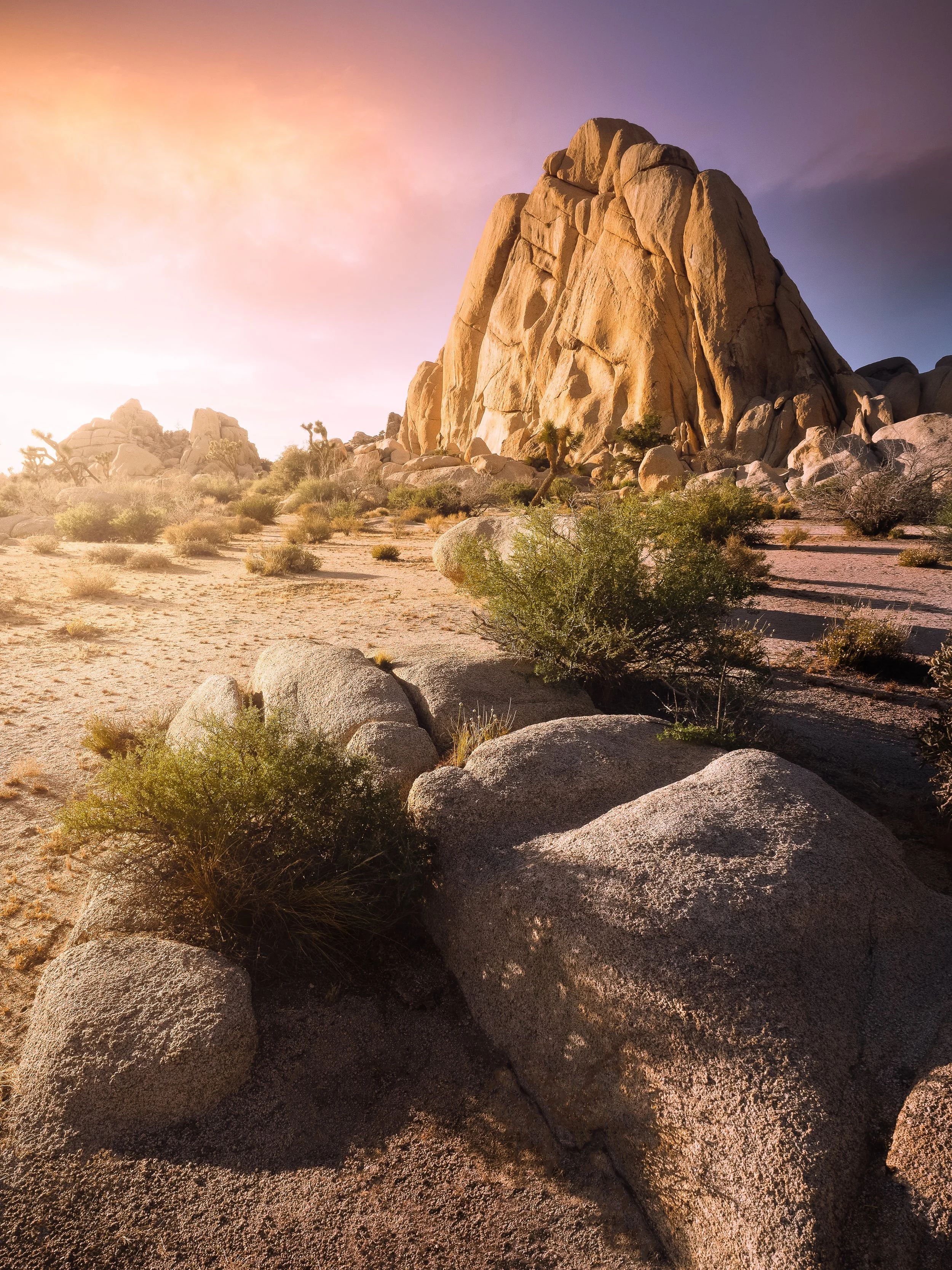 Joshua Tree National Park, CA, USA 