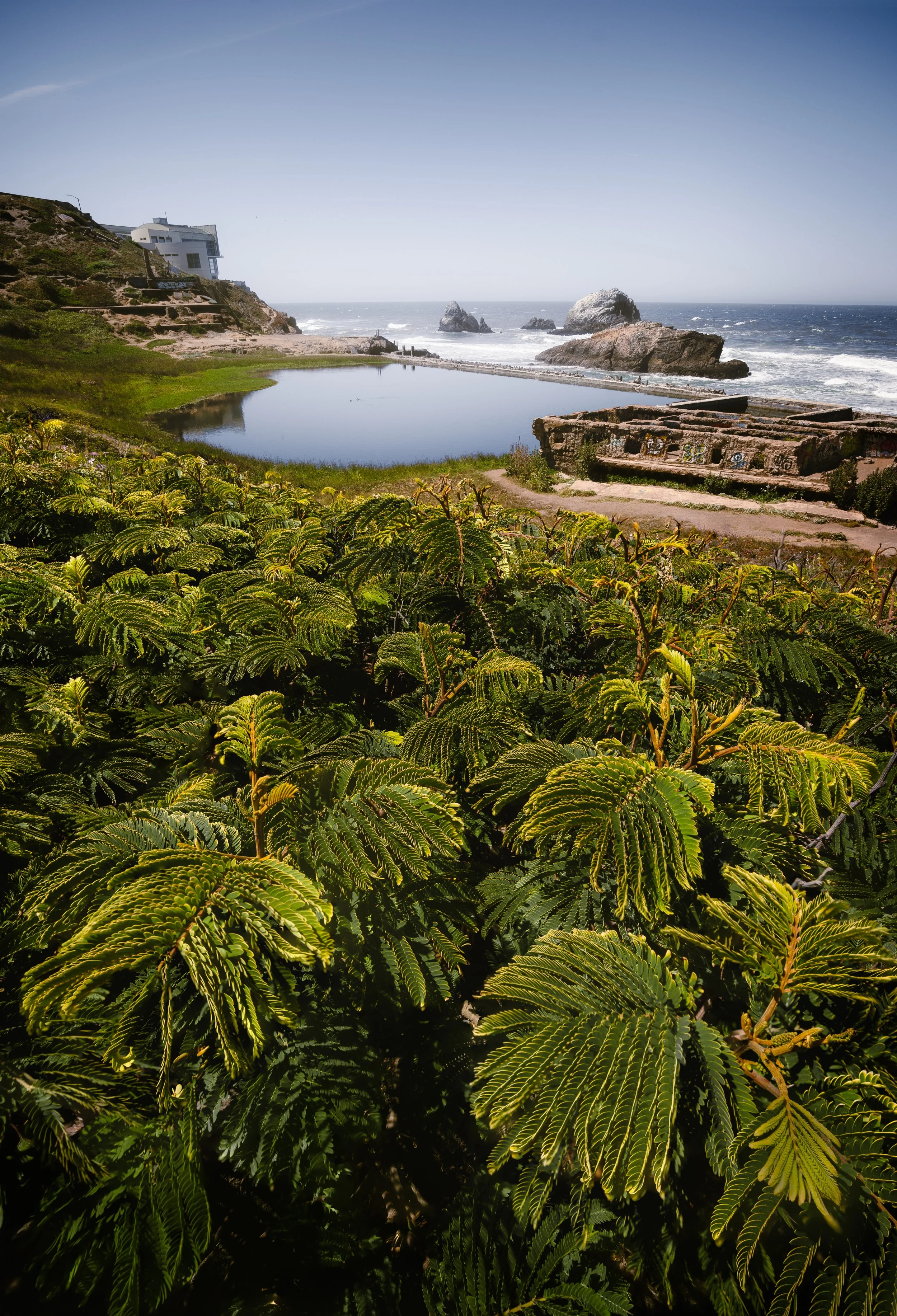Peering Into Sutro Baths