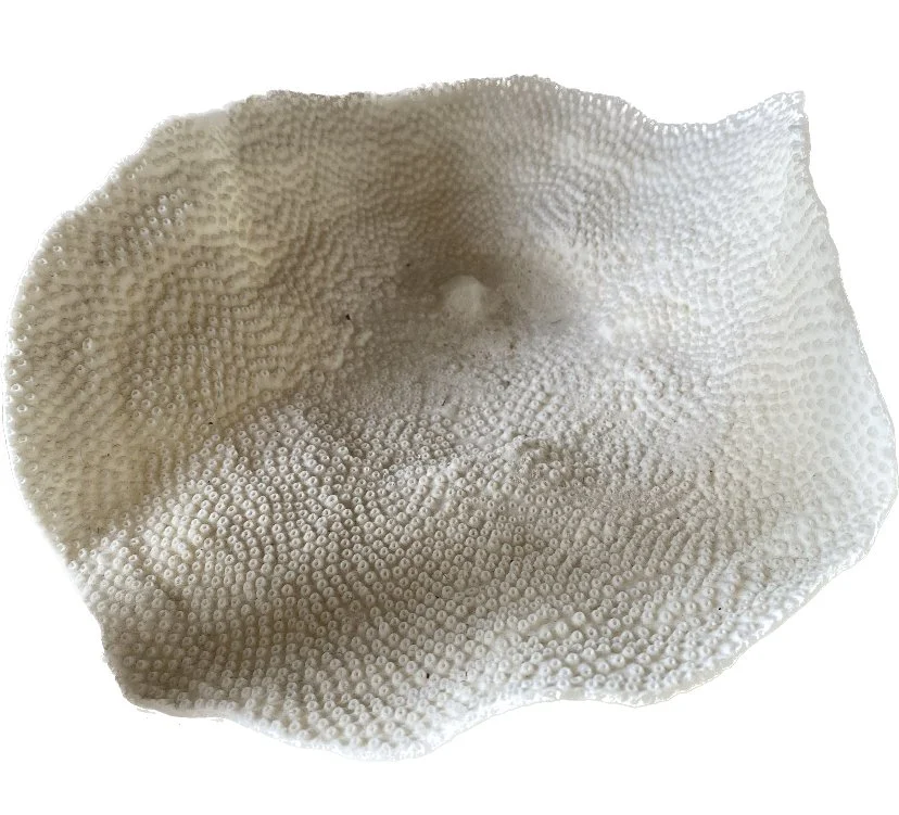 flat bowl coral.jpeg