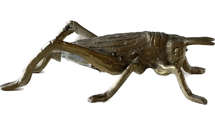 grasshopper 1.jpeg