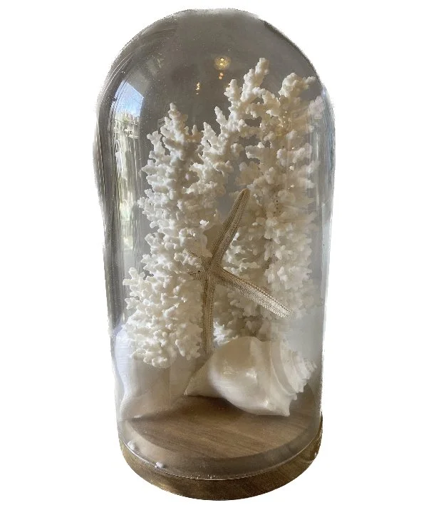 large covered coral.jpeg