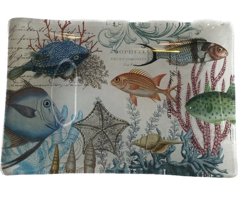 small glass tray 2.jpeg