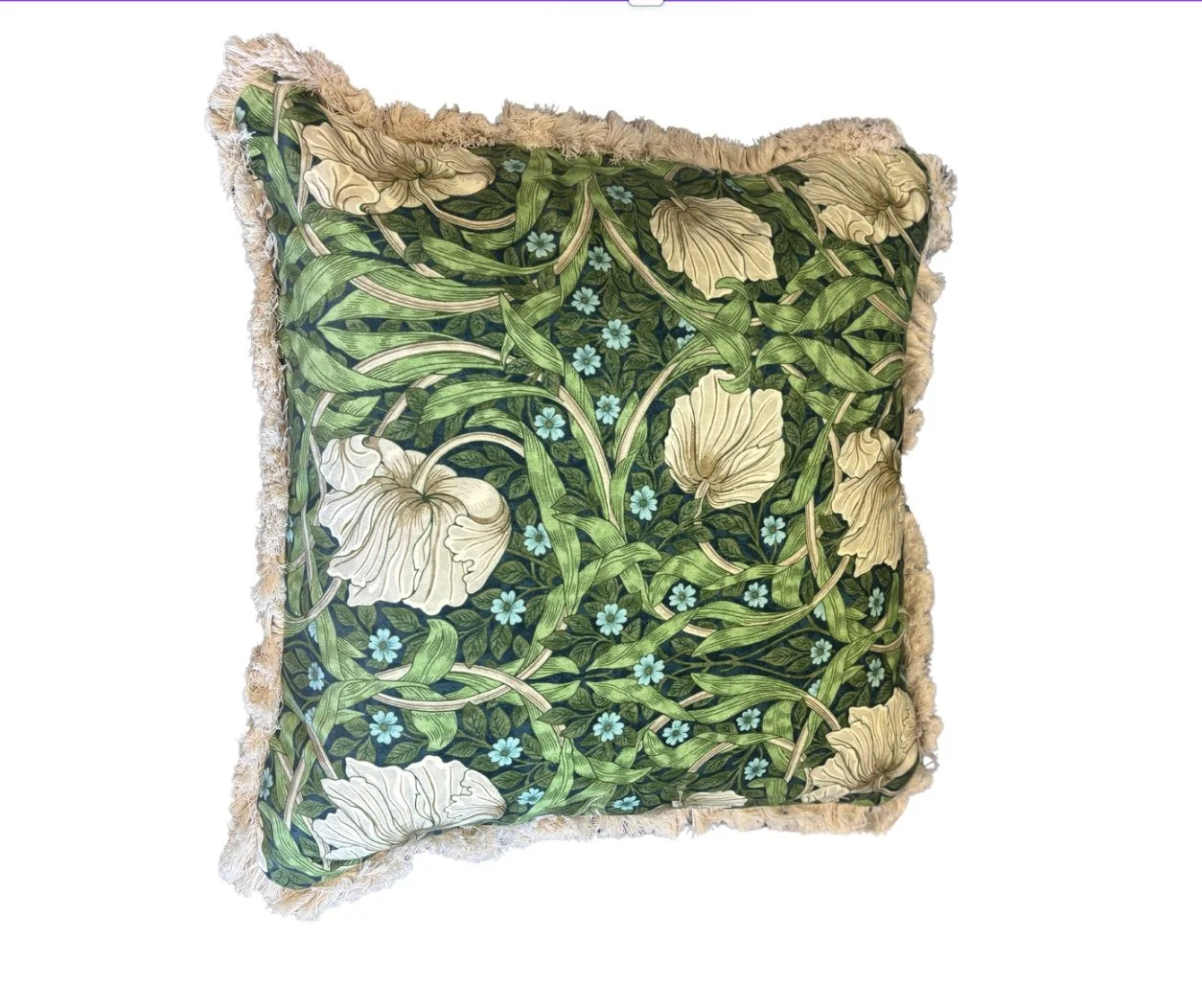 Image 9-16-25 at 8.49 PM.jpeg