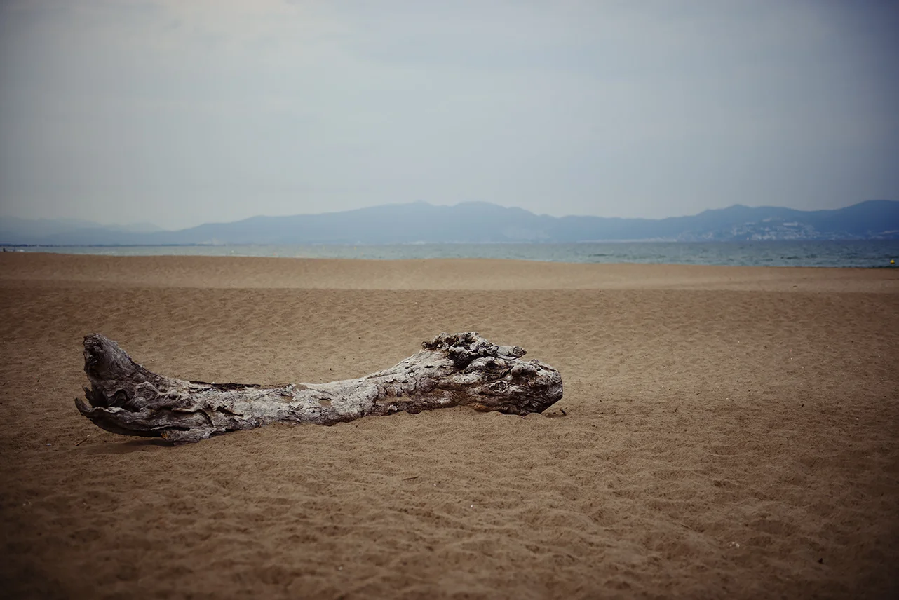 Spanien_2014_011_1280px.jpg