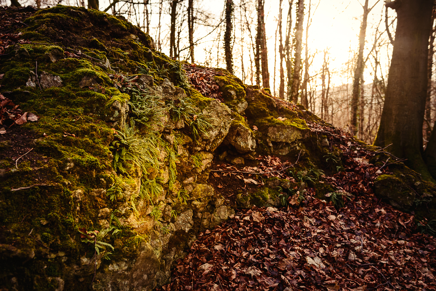 Hagen-Hohenlimburg_Raffenberg_20150118_0013_1500px_website.jpg