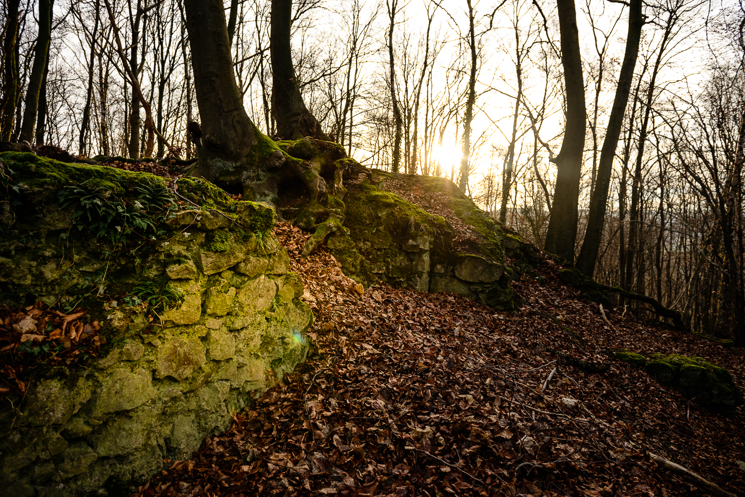 Hagen-Hohenlimburg_Raffenberg_20150118_0007_1500px_website.jpg