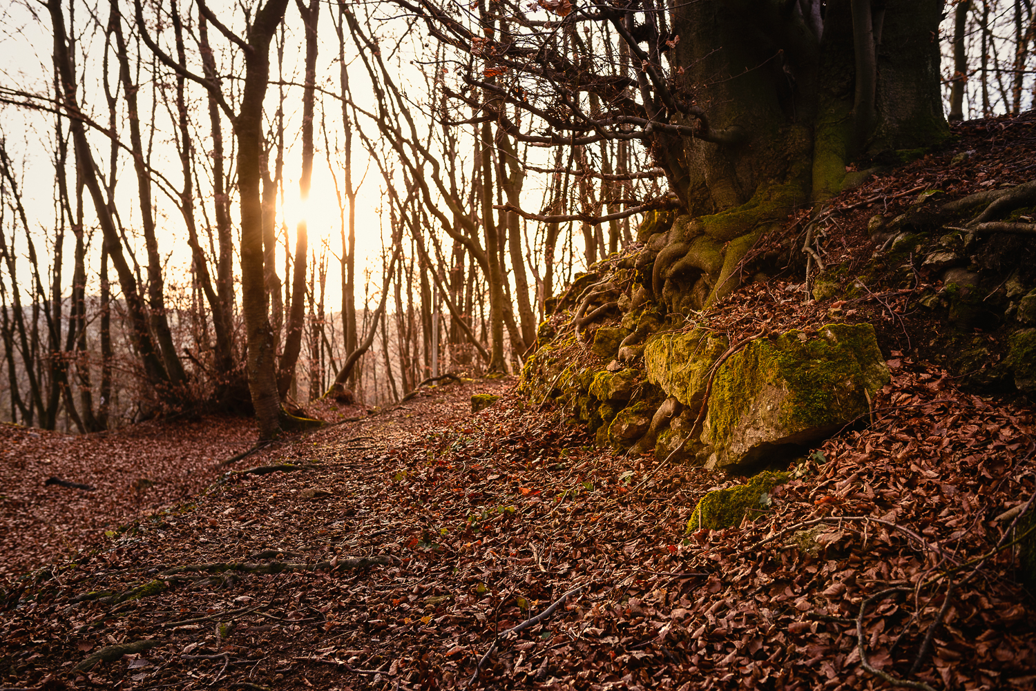 Hagen-Hohenlimburg_Raffenberg_20150118_0027_1500px_website.jpg