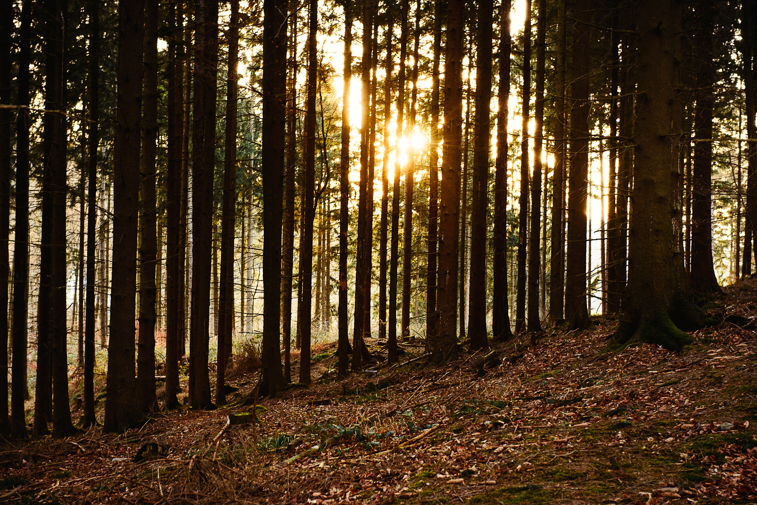 Hagen-Hohenlimburg_Raffenberg_20150118_0048_1500px_website.jpg